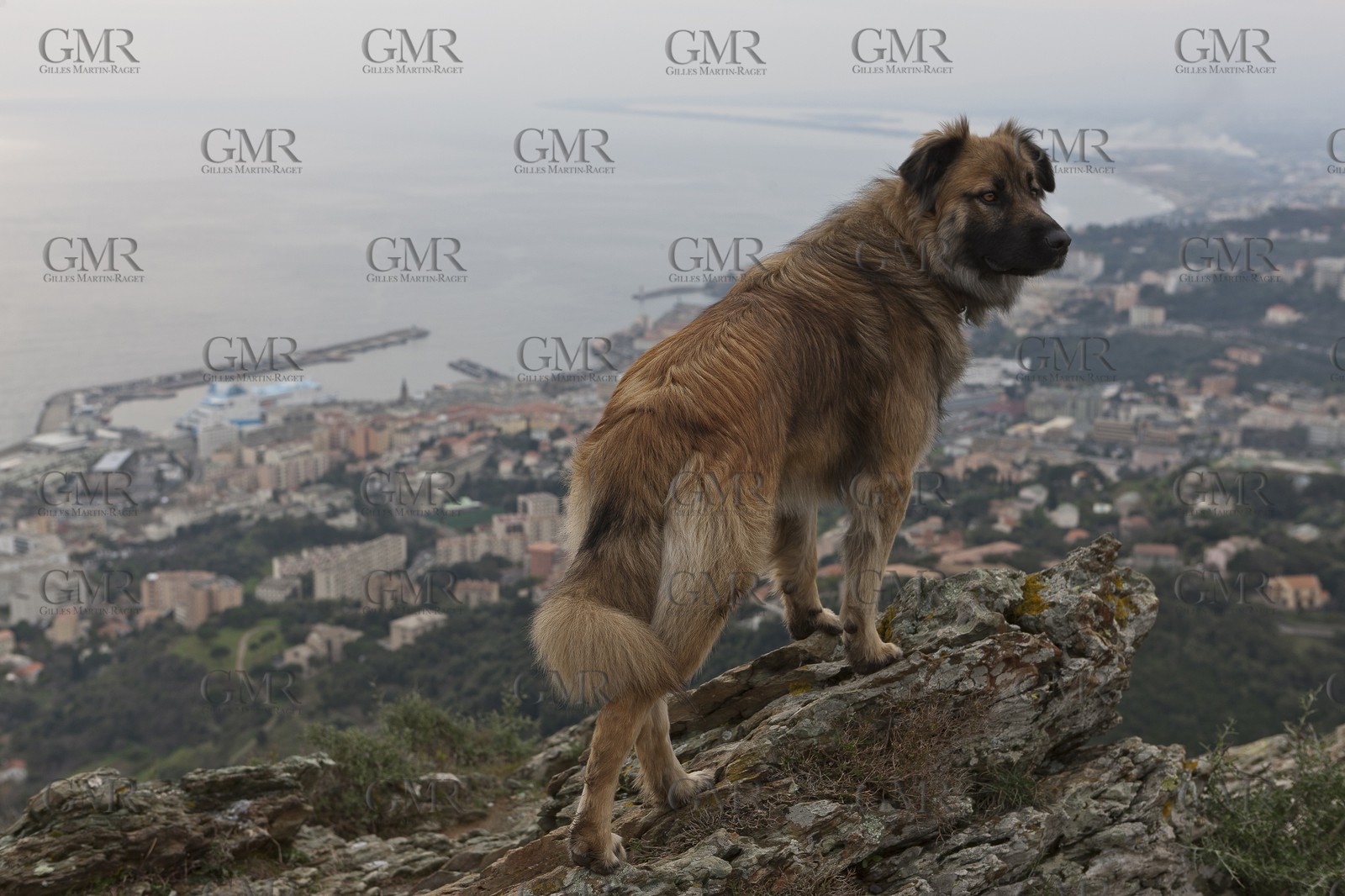 01-31-12   Marseilles (FRA,13) Bastia (FRA,Corsica)   Launching cruising trip and Christening ceremony of PIANA, last ferry ship from La Meridionale