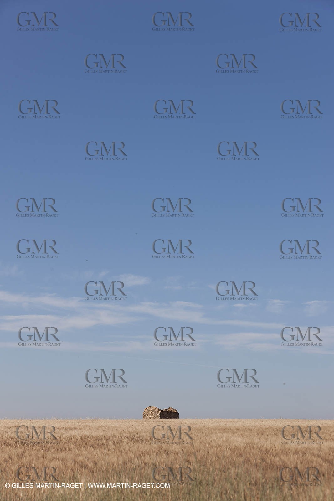 27 06 2011 - Valensole (FRA, 04) - Lavander fields