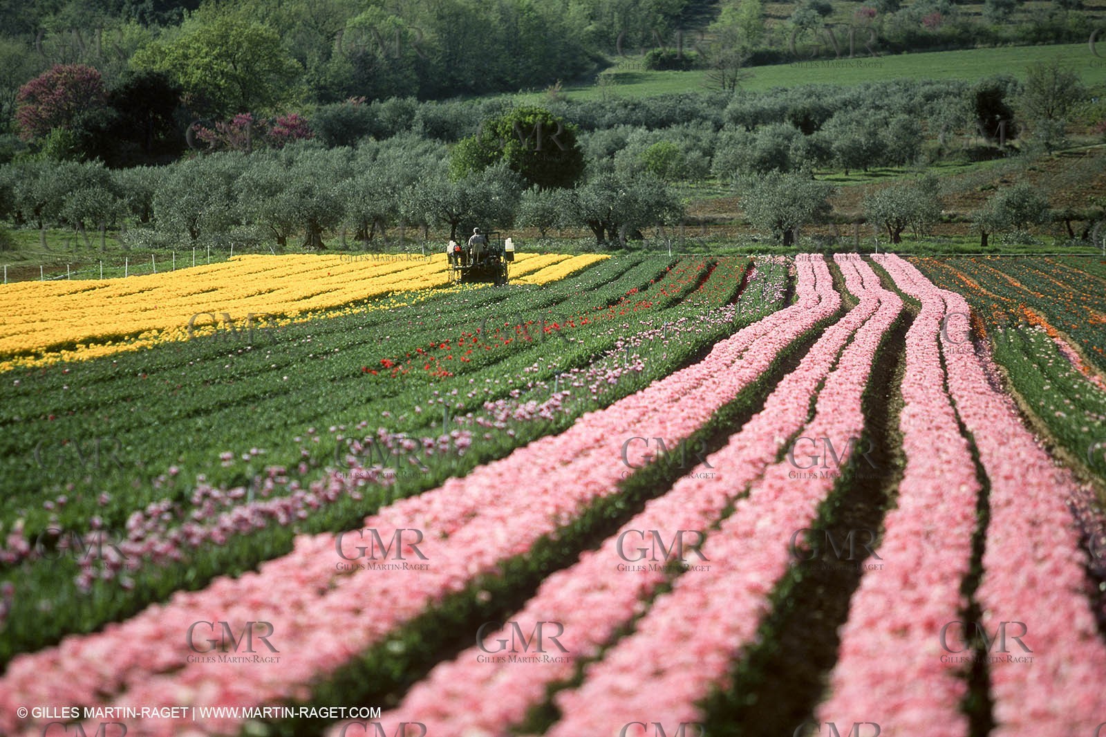 Durance river valley