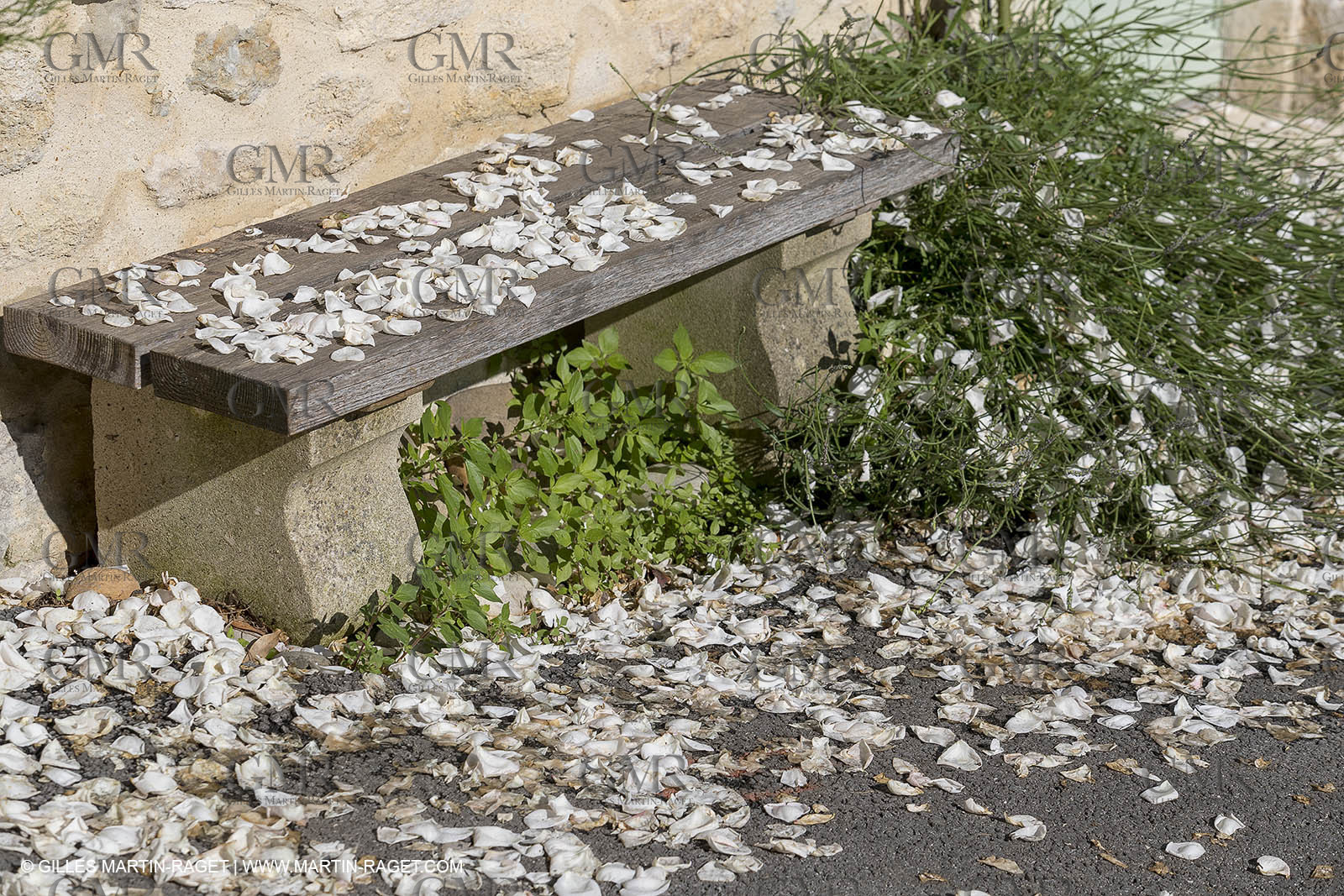 1 06 2018, Ménerbes, (FRA,84)