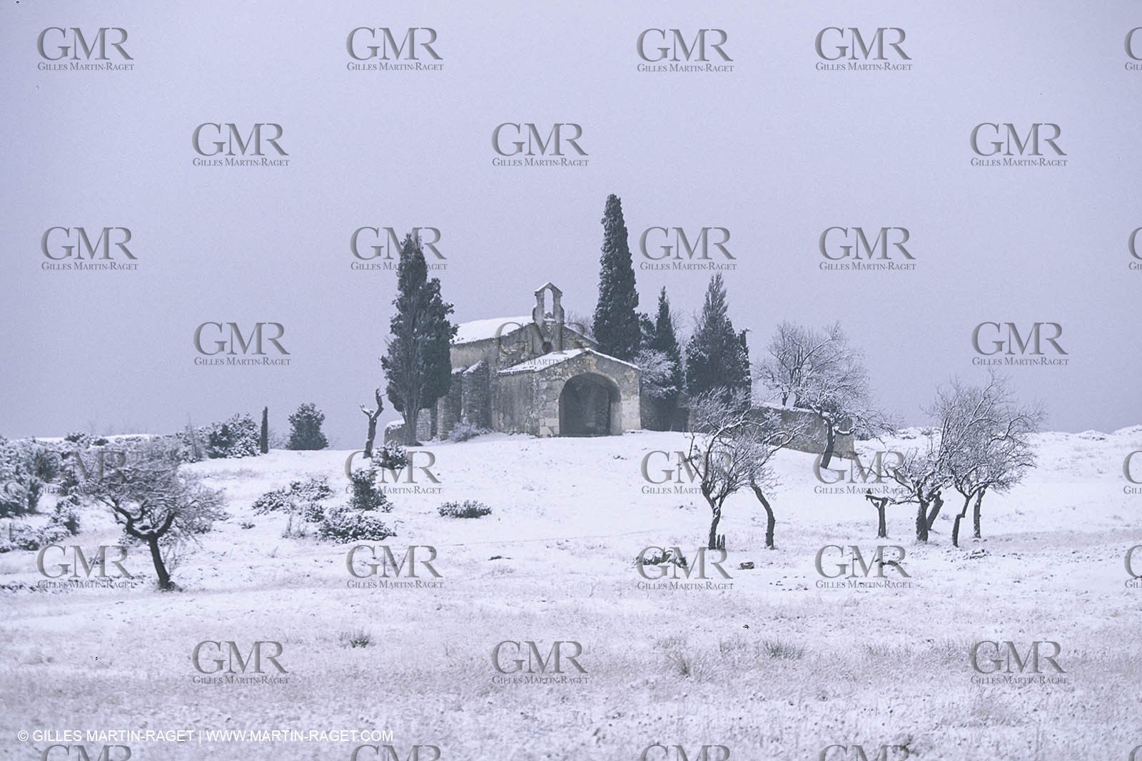 France , Provence, Paysage des Alpilles, Landscapes
