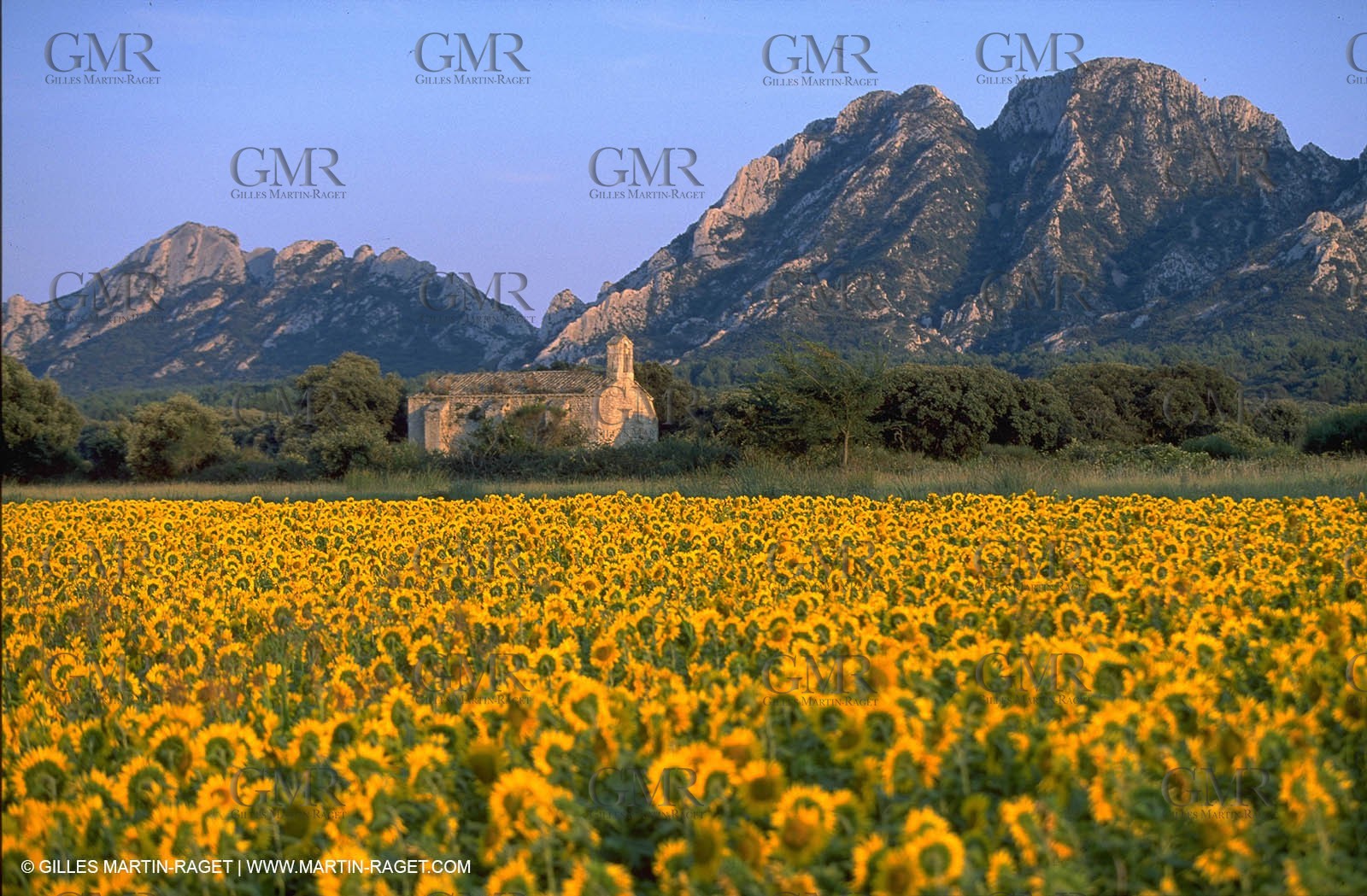 Alpilles countryside