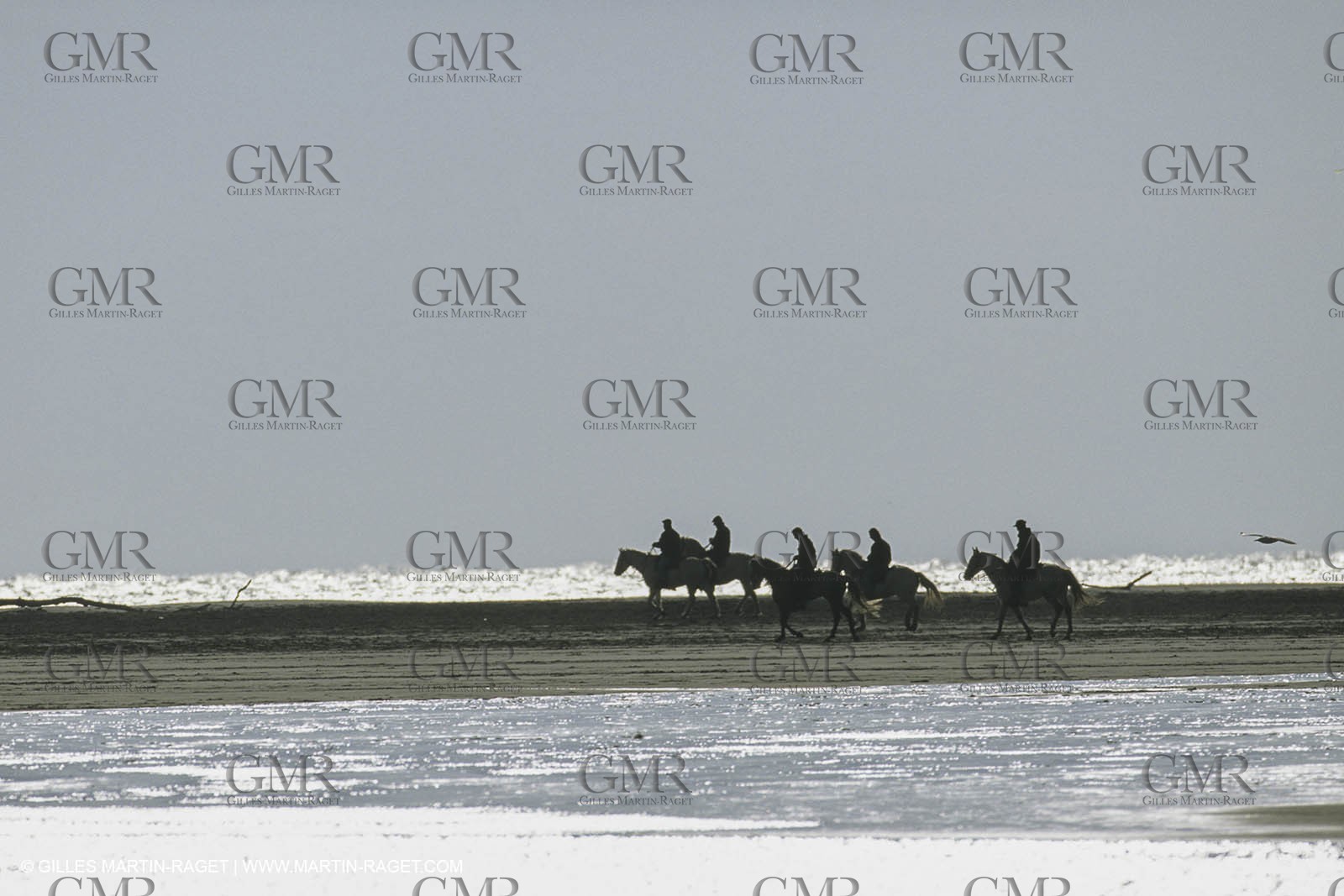 France, Provence, Gardians de Camargue