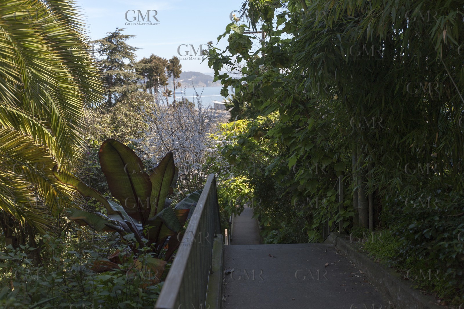 GMR_0071.jpg