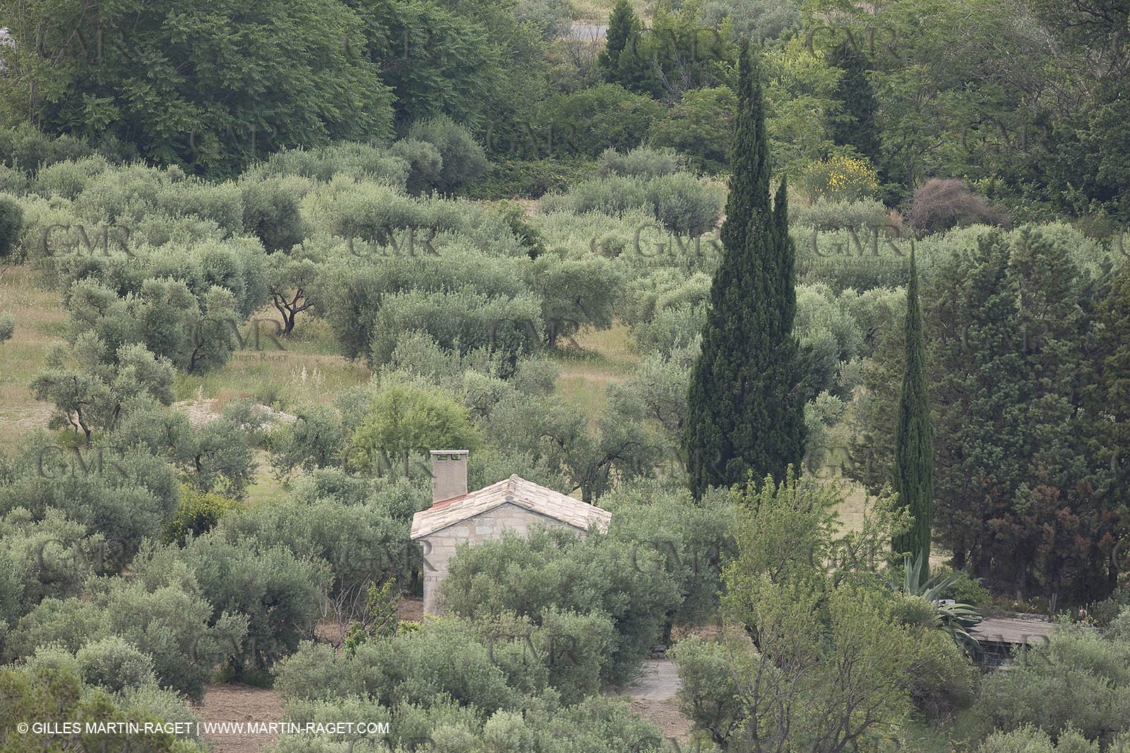 June 24th 2008 - Les Baux de Provence (FRA,13) - Alpilles hills landscapes