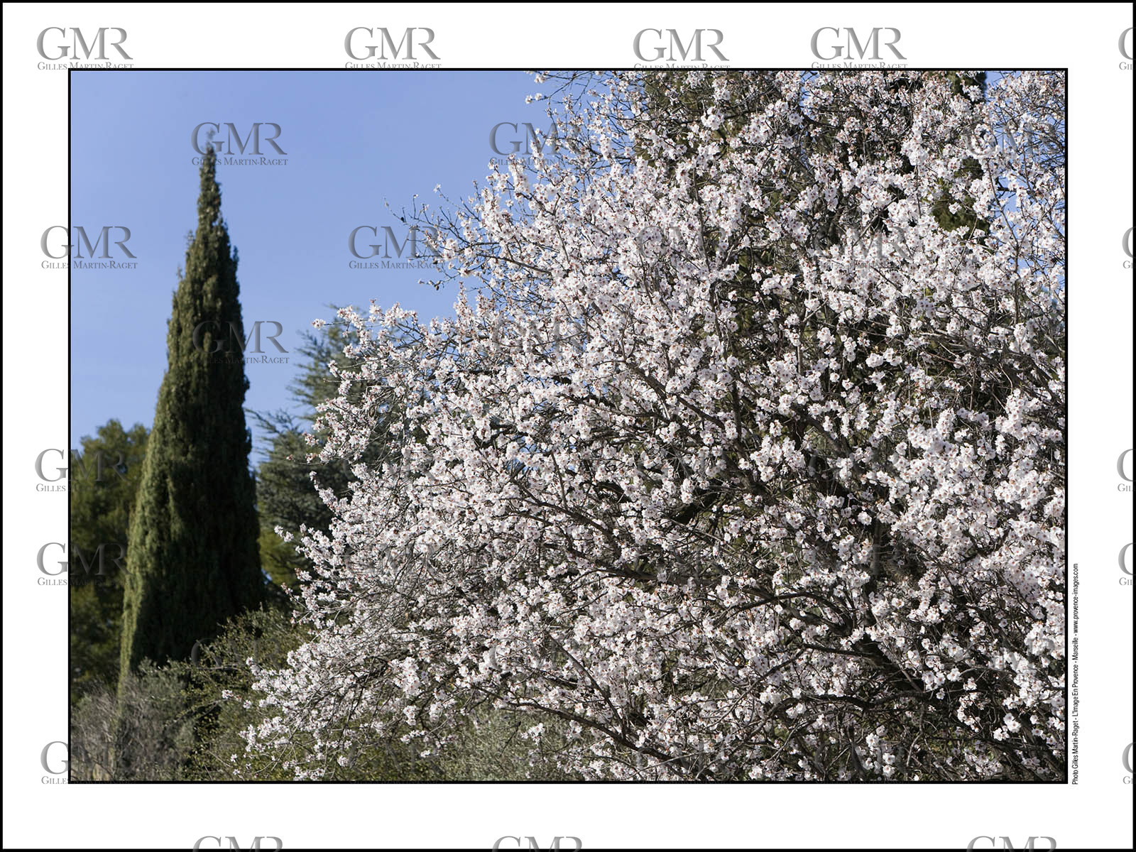 Product: in house made quality print on 8 ultrachome colors Epson ink Jet printer.Available sizes: . 30x40 cm. 50x70 cm. 80x120 cmAvailable papers: . Standard 250 gr glossy paper print, black streak, white margin, no signature. Top quality glossy 290 gr. paper, black streak, white margin, checked and signed by the author. Fine Art print (signed, numbered, stamped, registered) on demand. Other supports (Canvas, Acrylic, Metal) on demandPackaging: cylindric reinforced tubeShipping options: regular mail or Shipping companyClick on the basket icon to select your options and start the online ordering process