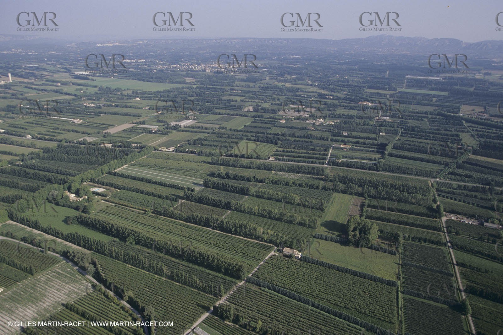 France, Provence, paysage des Alpilles, Alpilles landscapes
