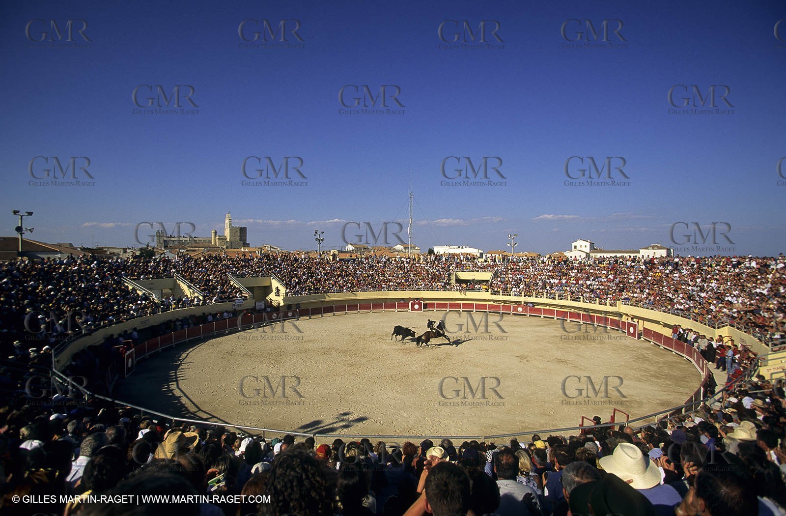 Gard, (FRA,30) - Camargue bull game