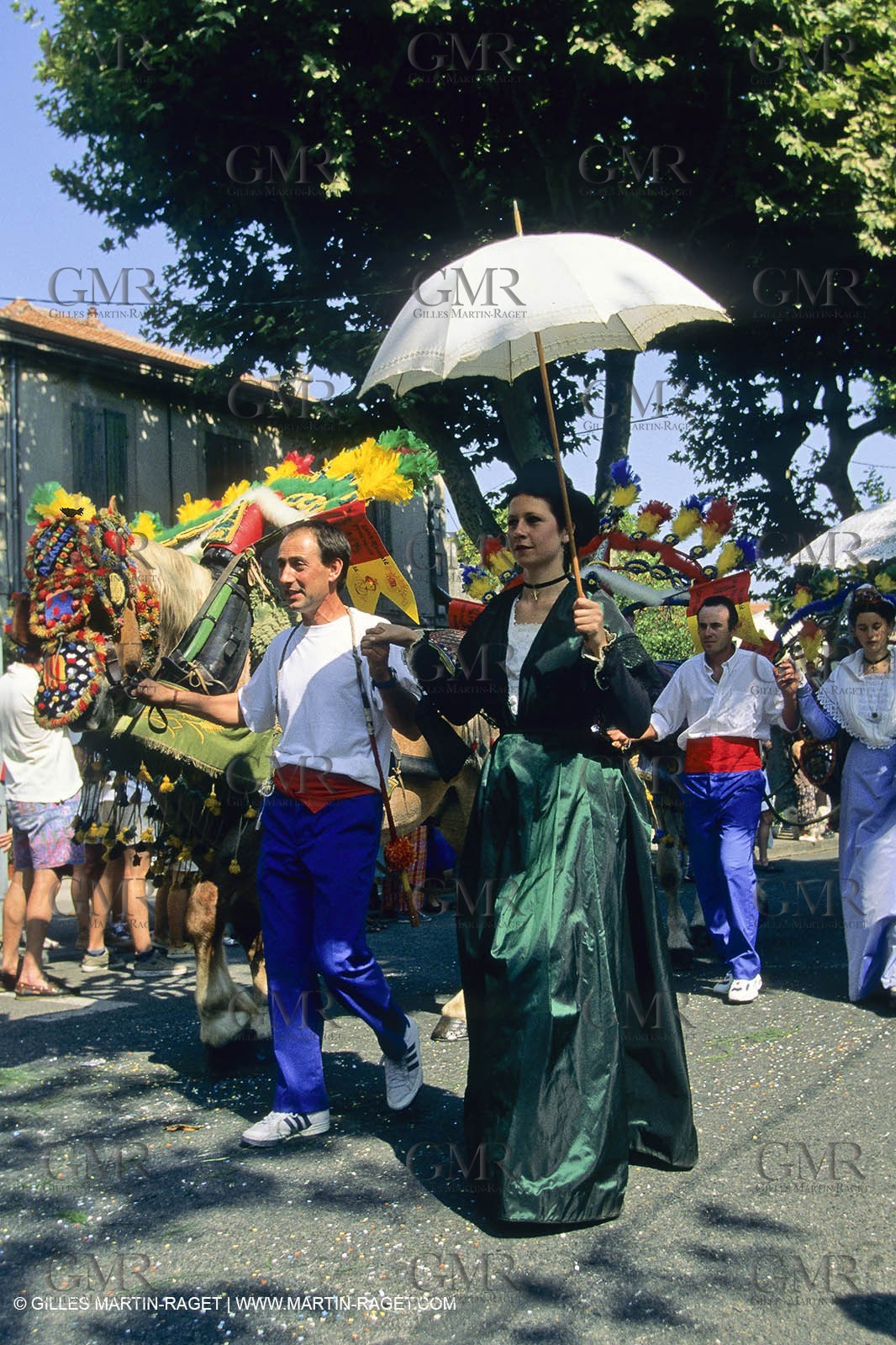 Saint Rémy de Provence (FRA,13) - Careto ramado (charrette fleurie)