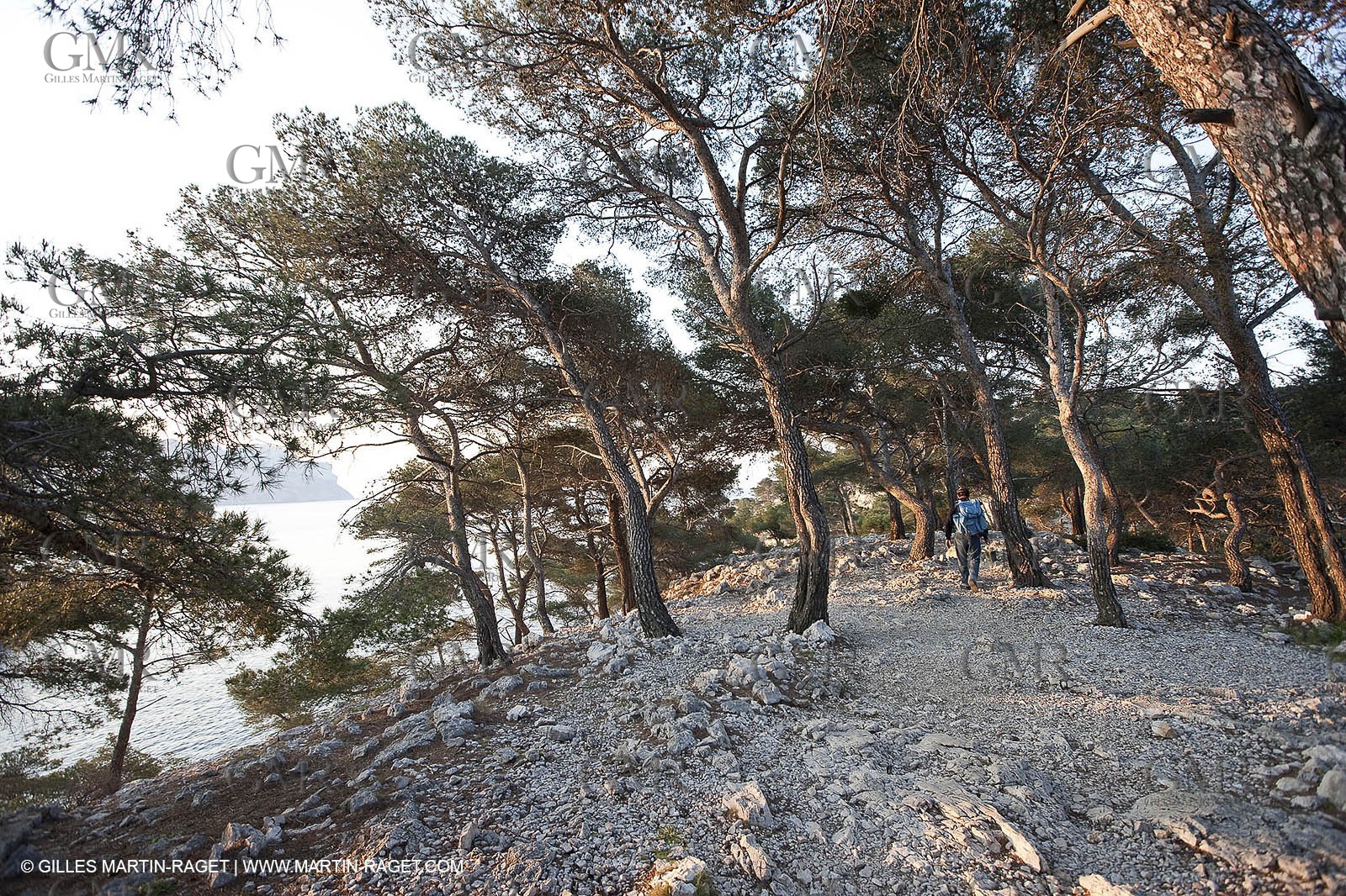 03 05 2009 - Marseille (FRA, 13) - Les Calanques - Port Pin