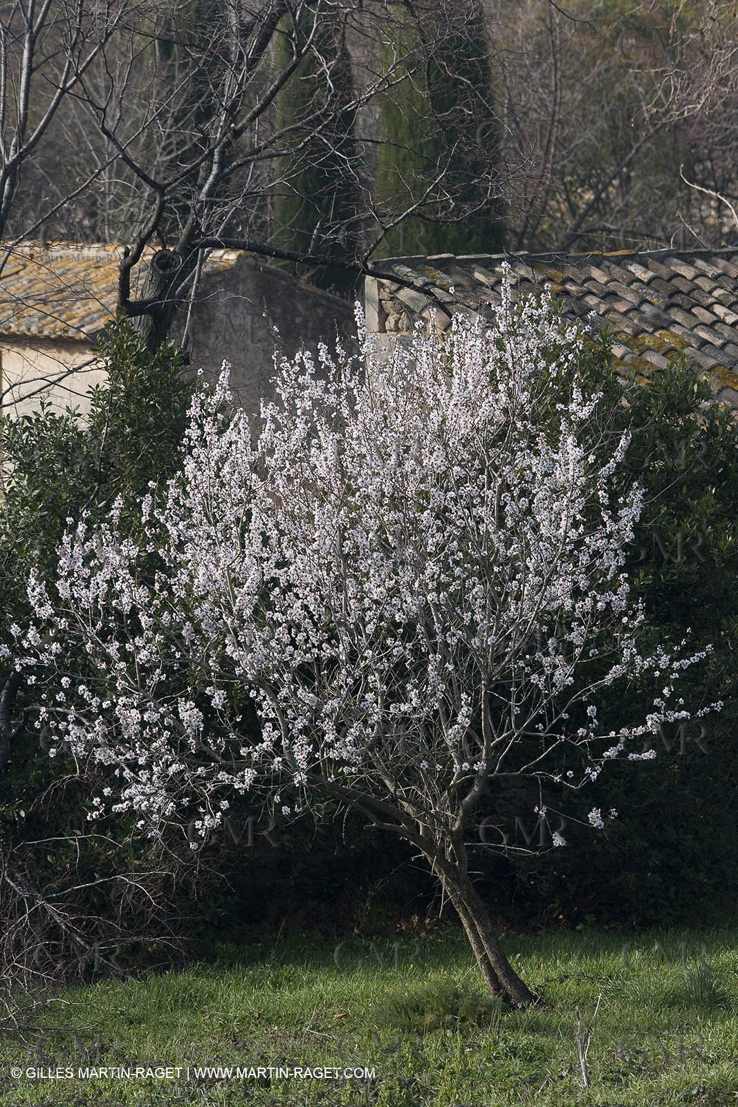 16 02 2008 - Les Baux de Provence (FRA, 13) - Alpilles hills landscapes