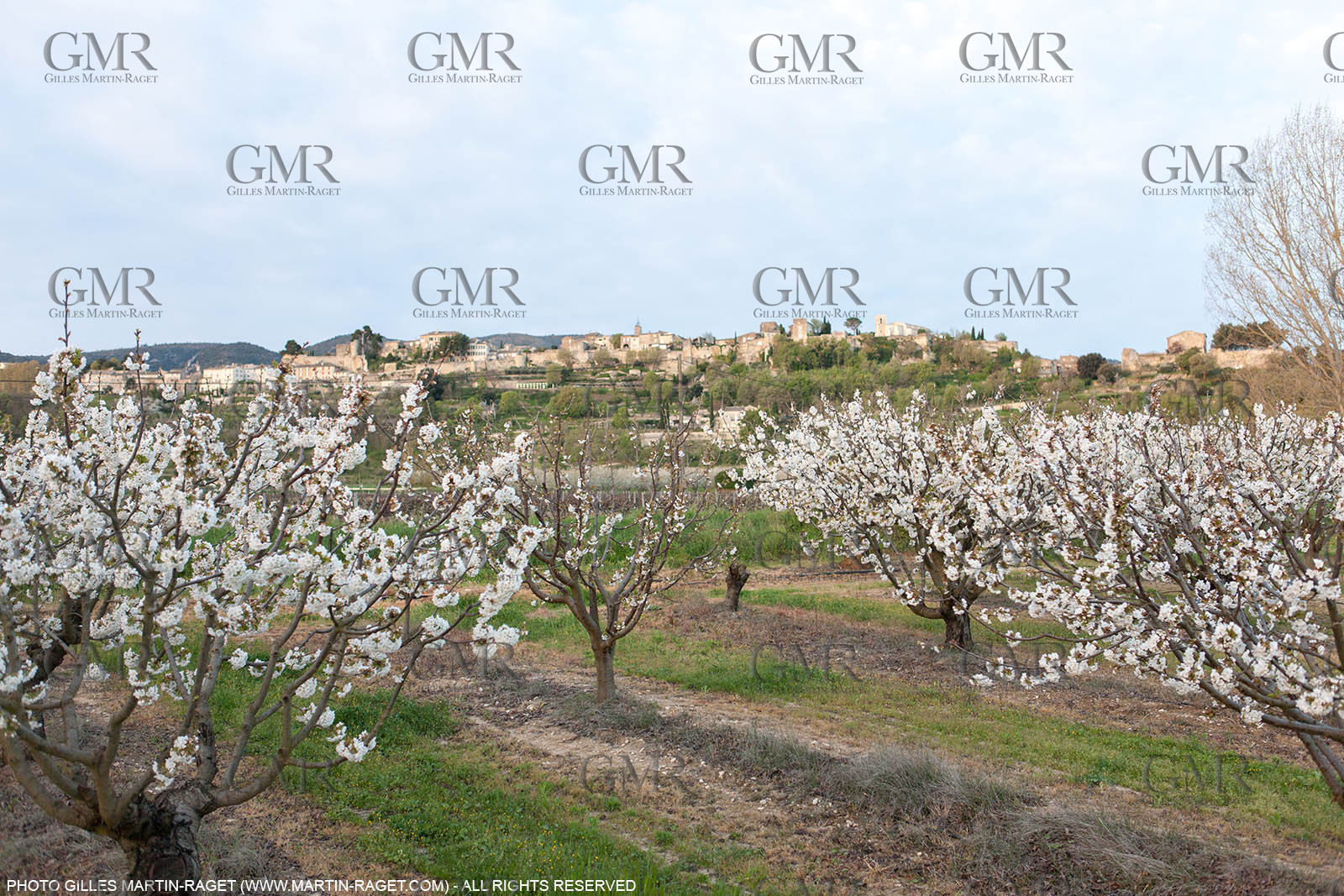 12 04 2016, Luberon National Park, Ménerbes