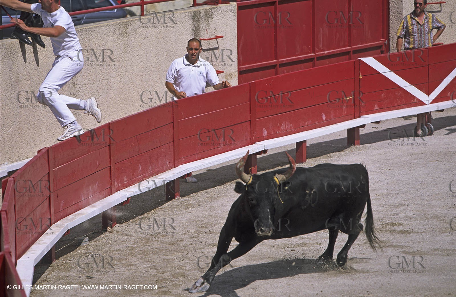 bull games in Clarensac (Gard)