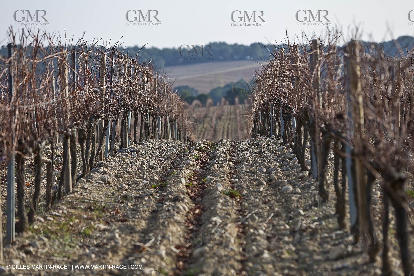 Saint Drézéry (FRA, 34), Domaine de Puech Haut