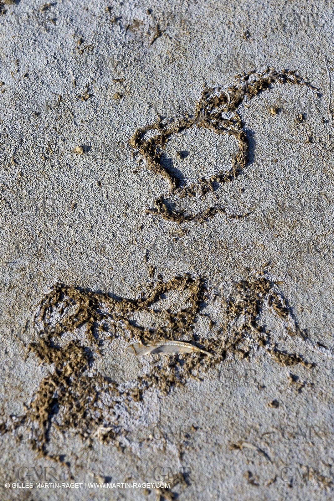 23 10 2014, Salins de Giraud (FRA,13), Salt & Speed 2014, Charlotte Consorti