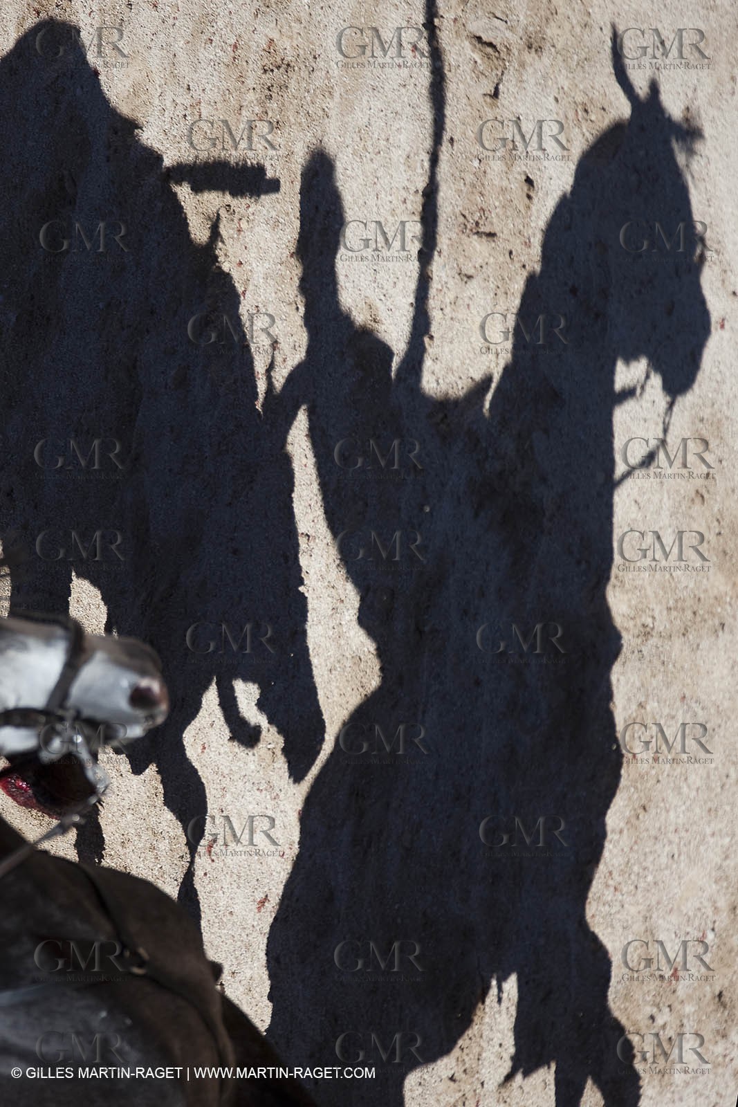 Monday 05 04 2010 - Arles (FRA,13) - Feria 2010 - -Corrida de rejon - Fermin Bohorquez - Pabloe Hemoso de Mendoza - Andy Cartagena - Toros Bohorquez