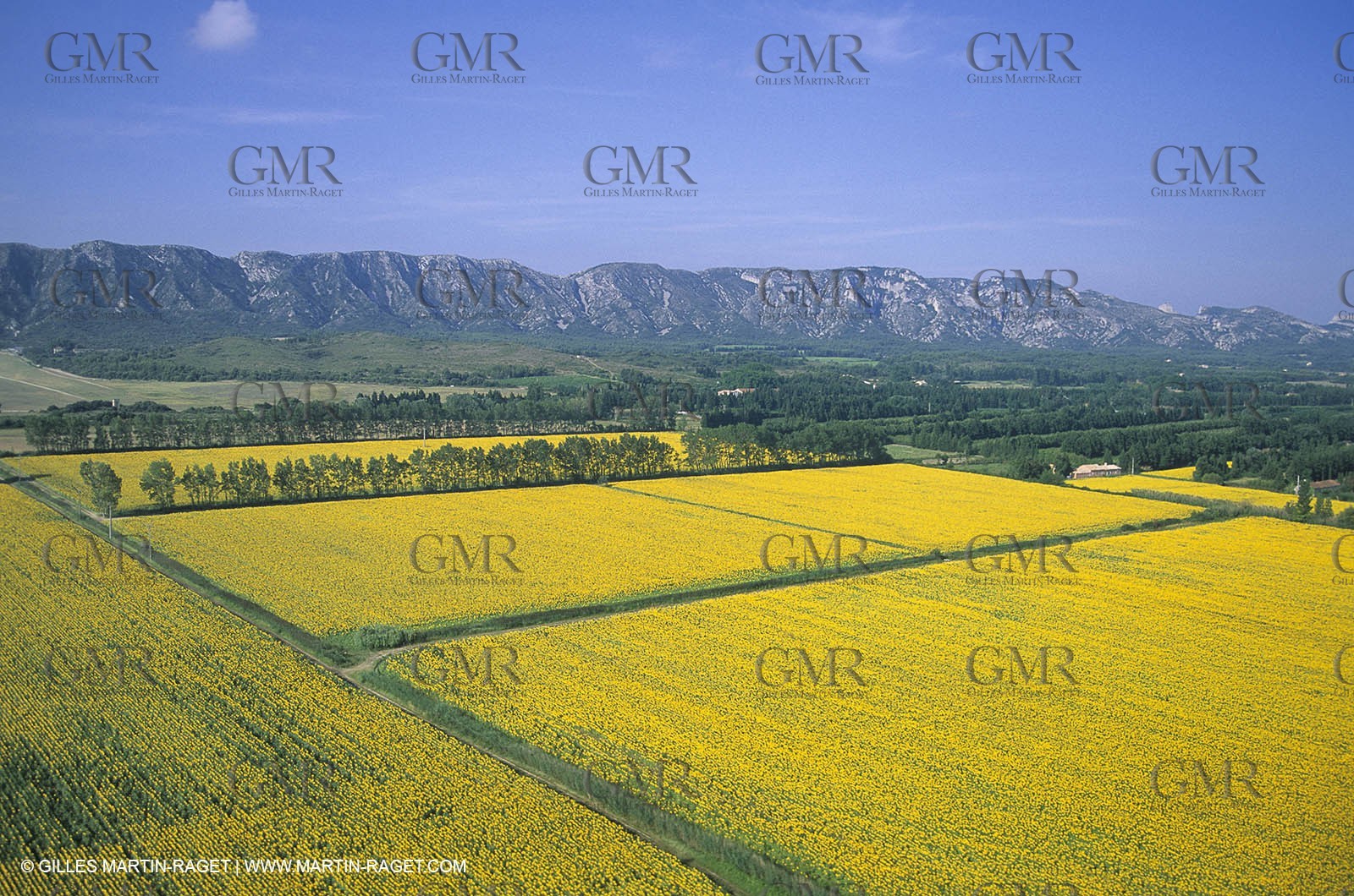 Alpilles countryside
