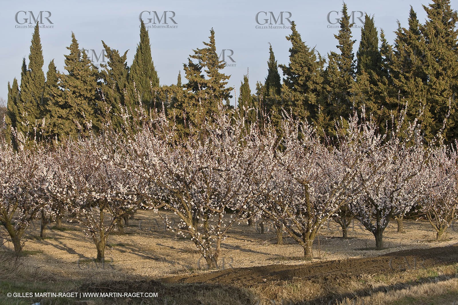 16 02 2008 - Les Baux de Provence (FRA, 13) - Alpilles hills landscapes