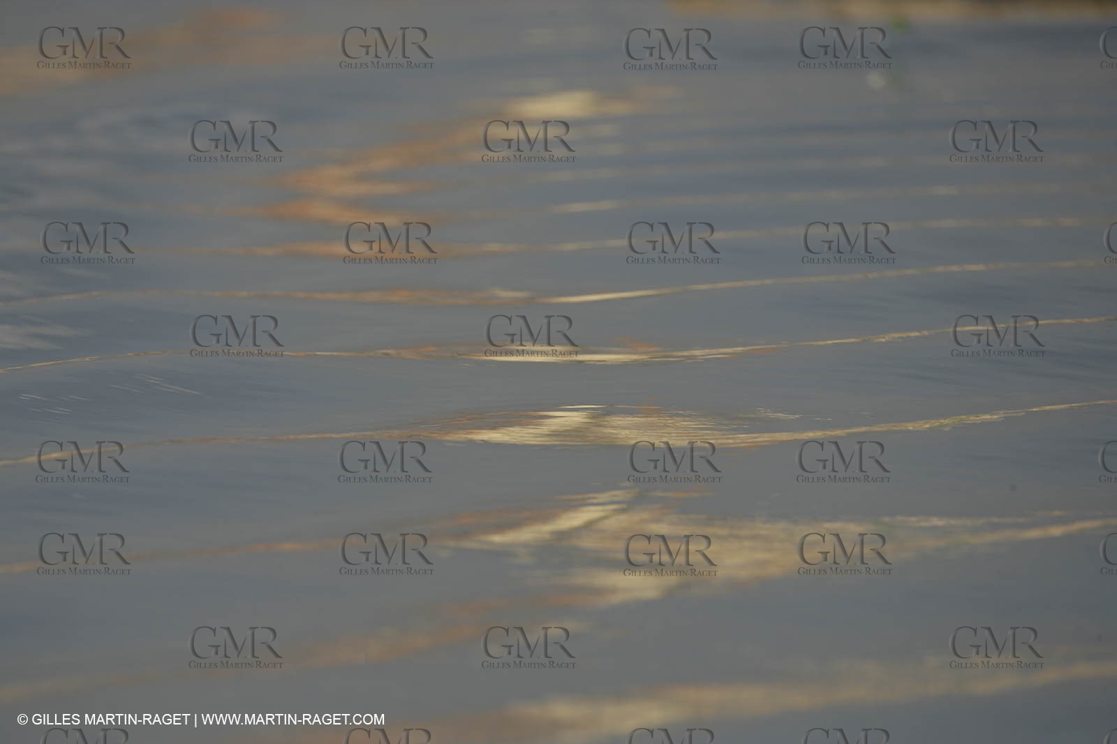 calme reflets