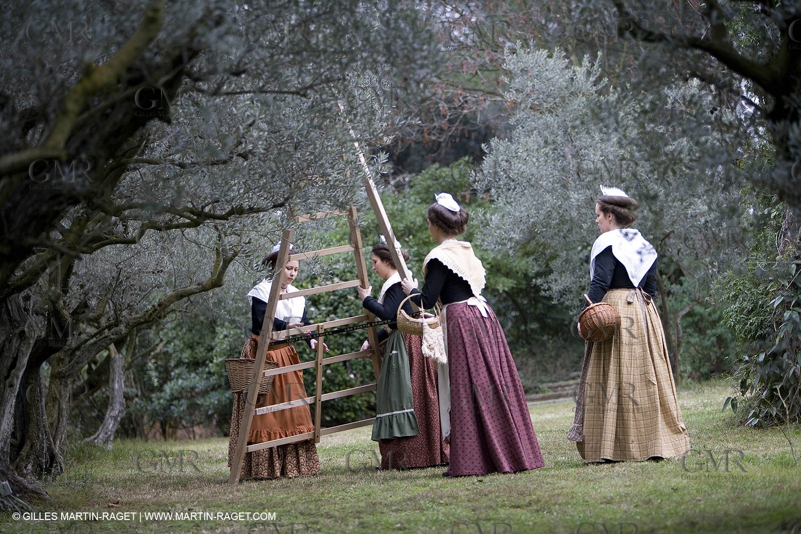 18 02 2007 - Saint Rémy de Provence - Queen of Arles in the Alpilles