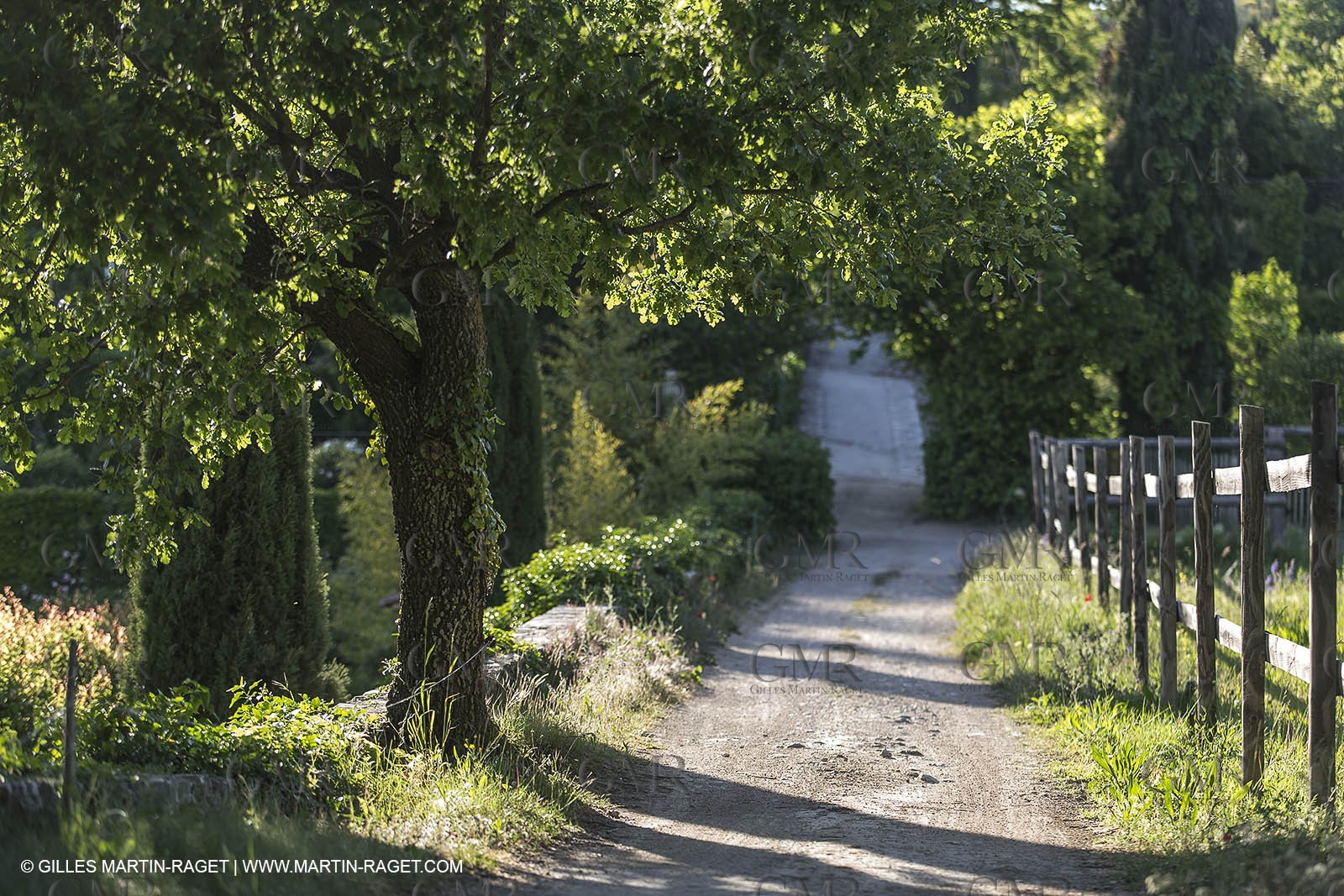 Domaine de la Baume - Tourtour (FRA,83) - 15 05 2014