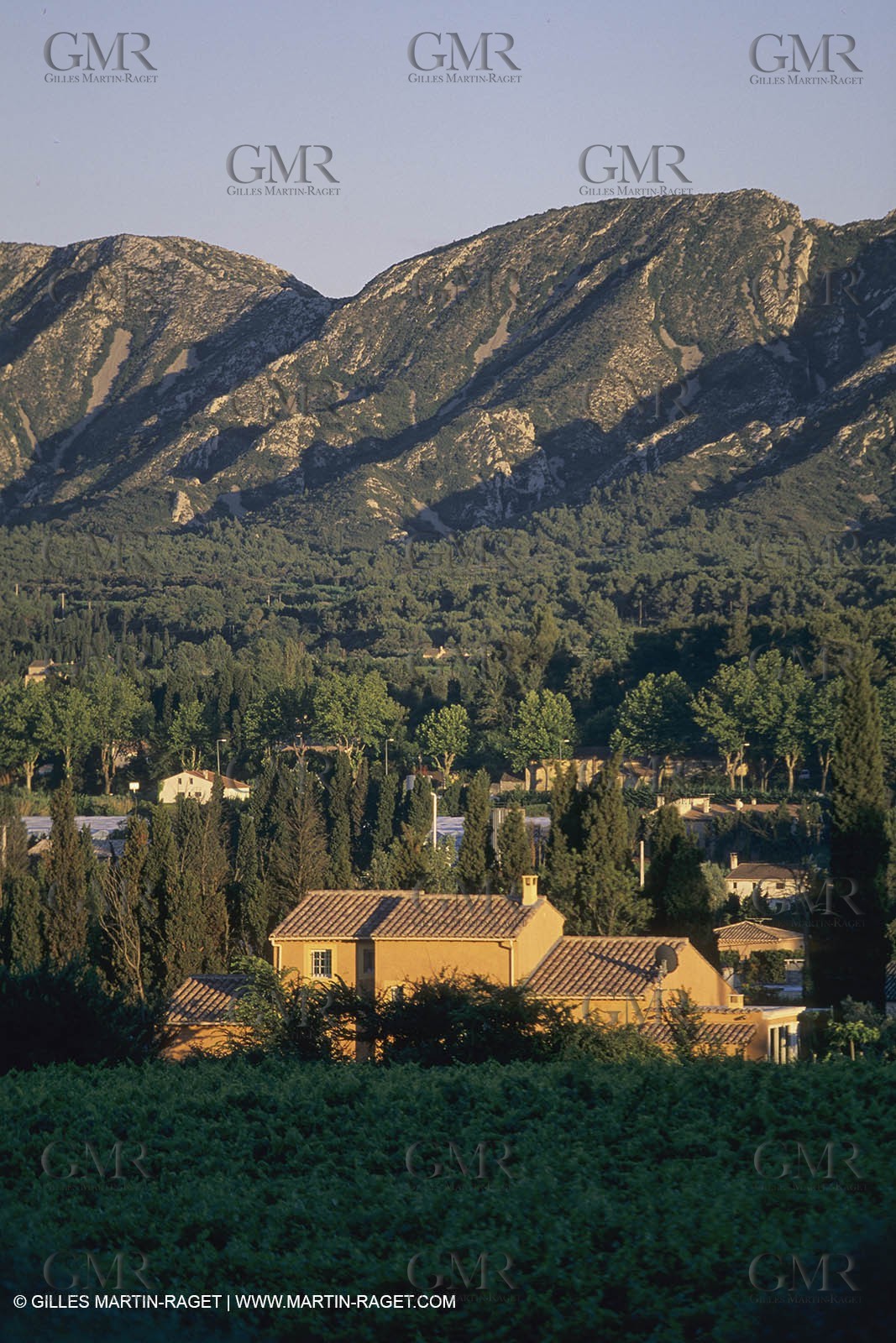 France, south, Alpilles landscapes