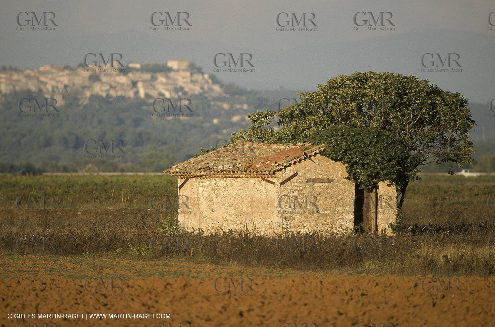 Luberon (FRA,84), Fall colors