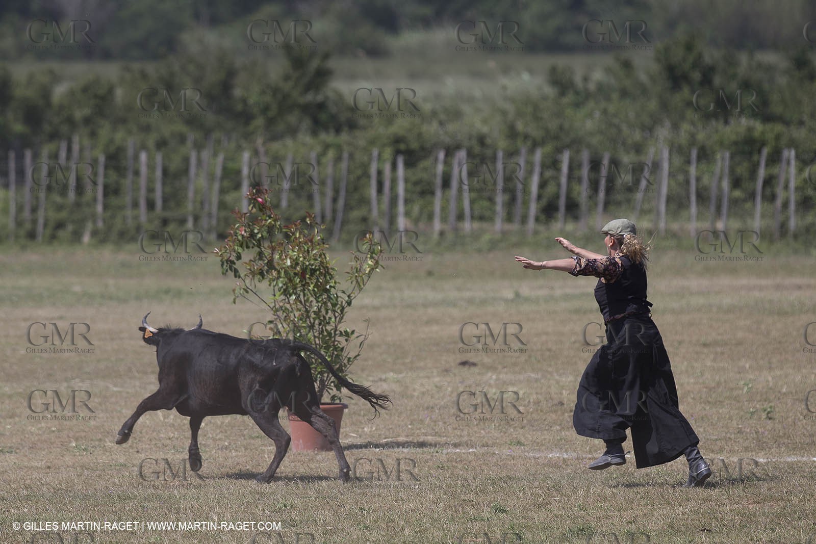 Course de Satin 2014 - Arles (FRA,13) - 1 06 2014**The satin race - Arles (FRA,13) - 01 06 2014