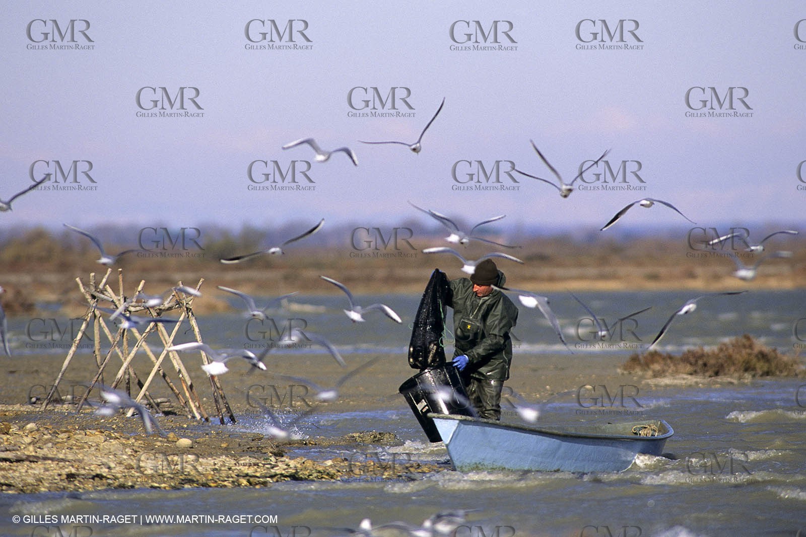 Camargue (FRA,13) - Gardians
