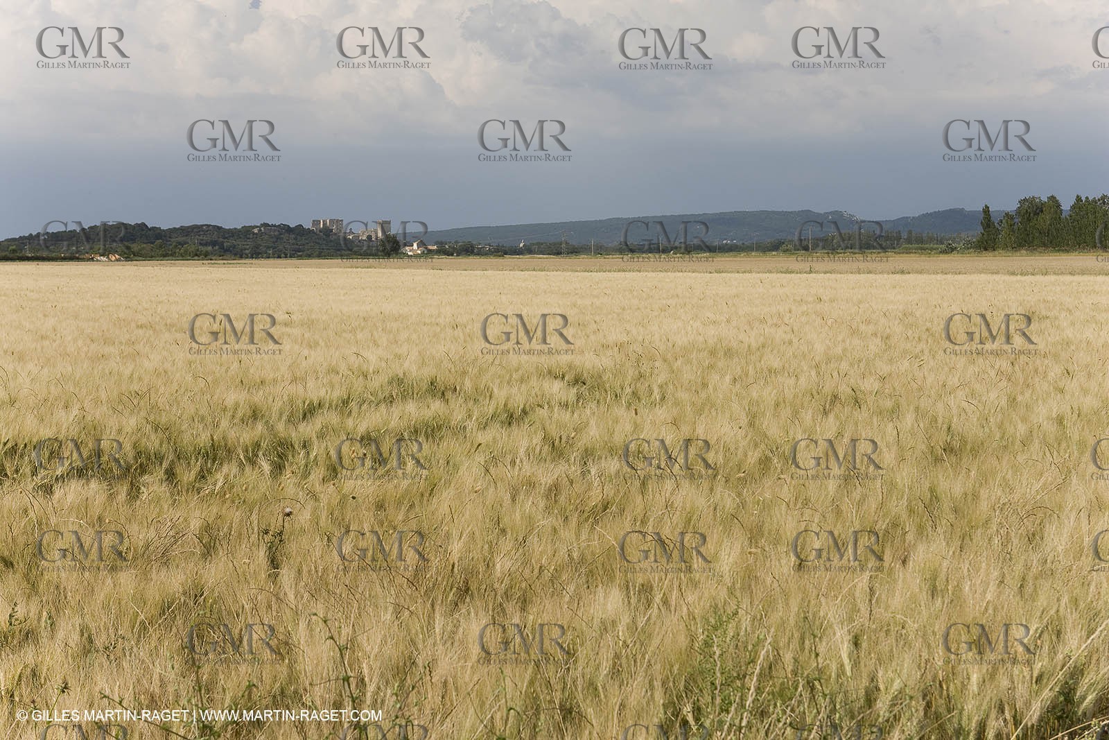 10 06 2008 - Arles and surroundings (FRA, 13) - Vincent Van Gogh south