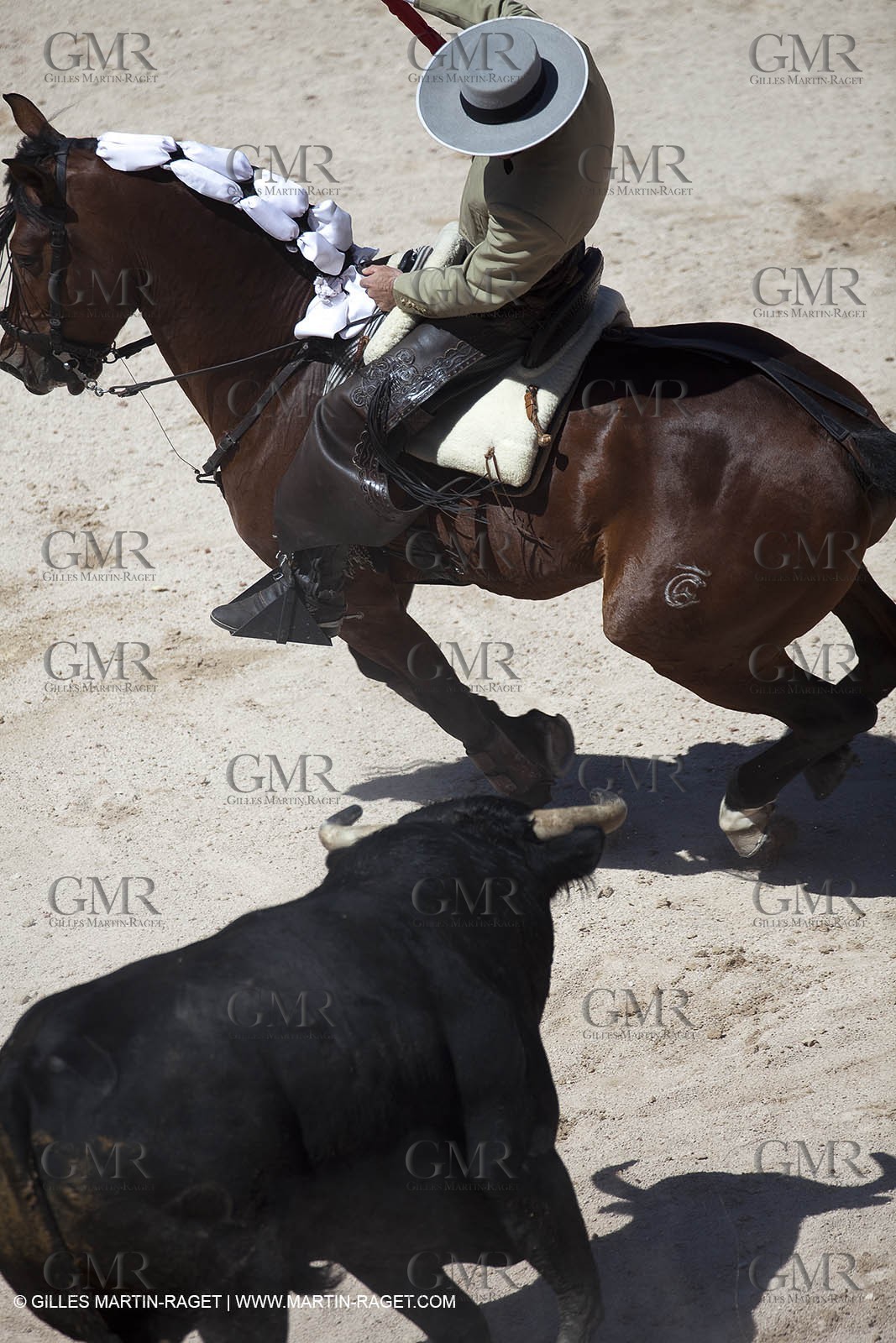 Lundi 05 04 2010 - Arles (FRA,13) - Feria 2010 -Corrida de rejon - Fermin Bohorquez - Pabloe Hemoso de Mendoza - Andy Cartagena - Toros Bohorquez