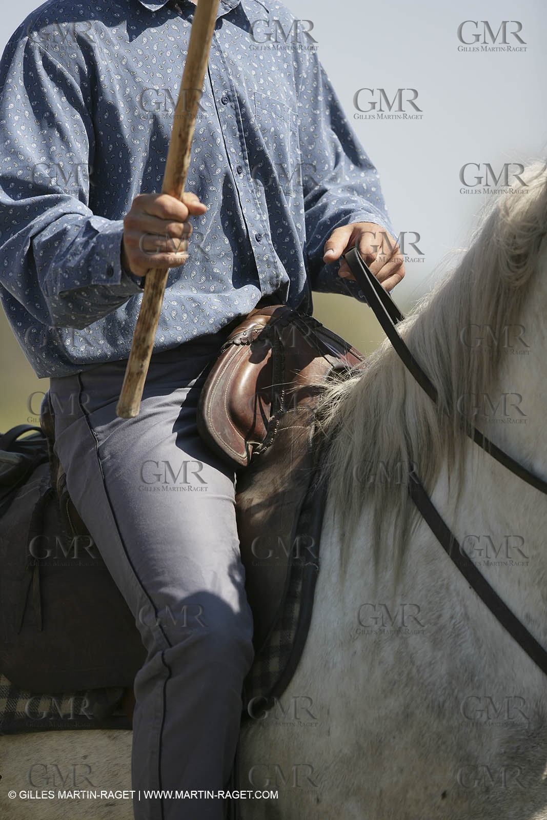 Arles 2006, Camargue horses races