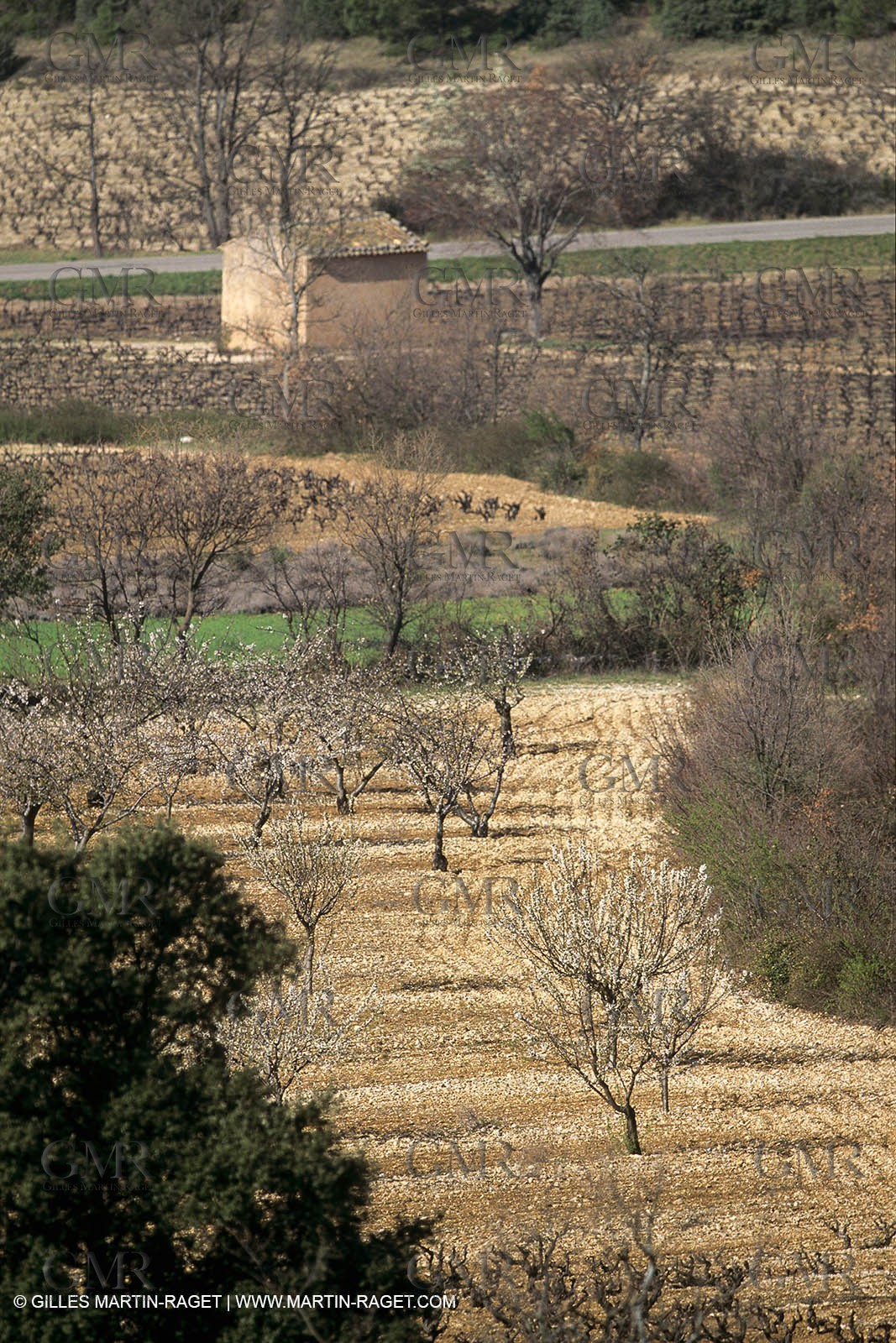 Luberon in winter near Saint Satrunin les Apt (FRA,84)