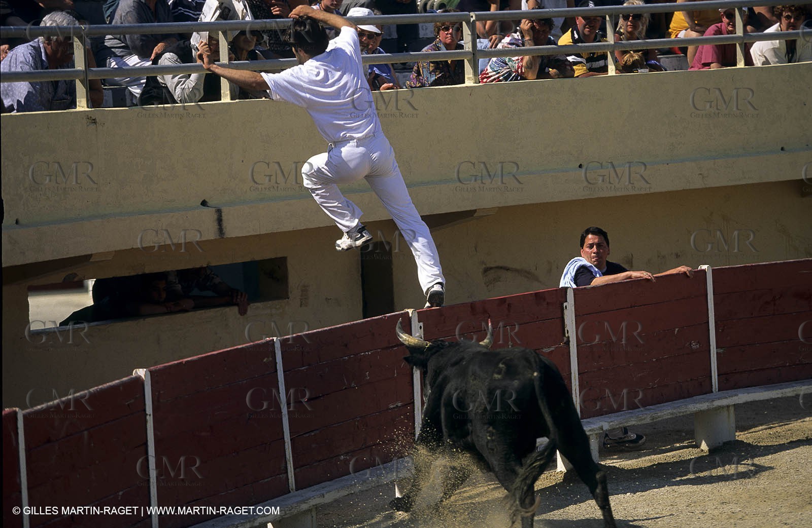 Gard, (FRA,30) - Camargue bull game