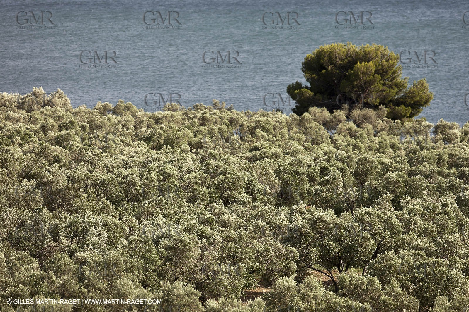 13 06 2012 - Saint Chamas (FRA,13)