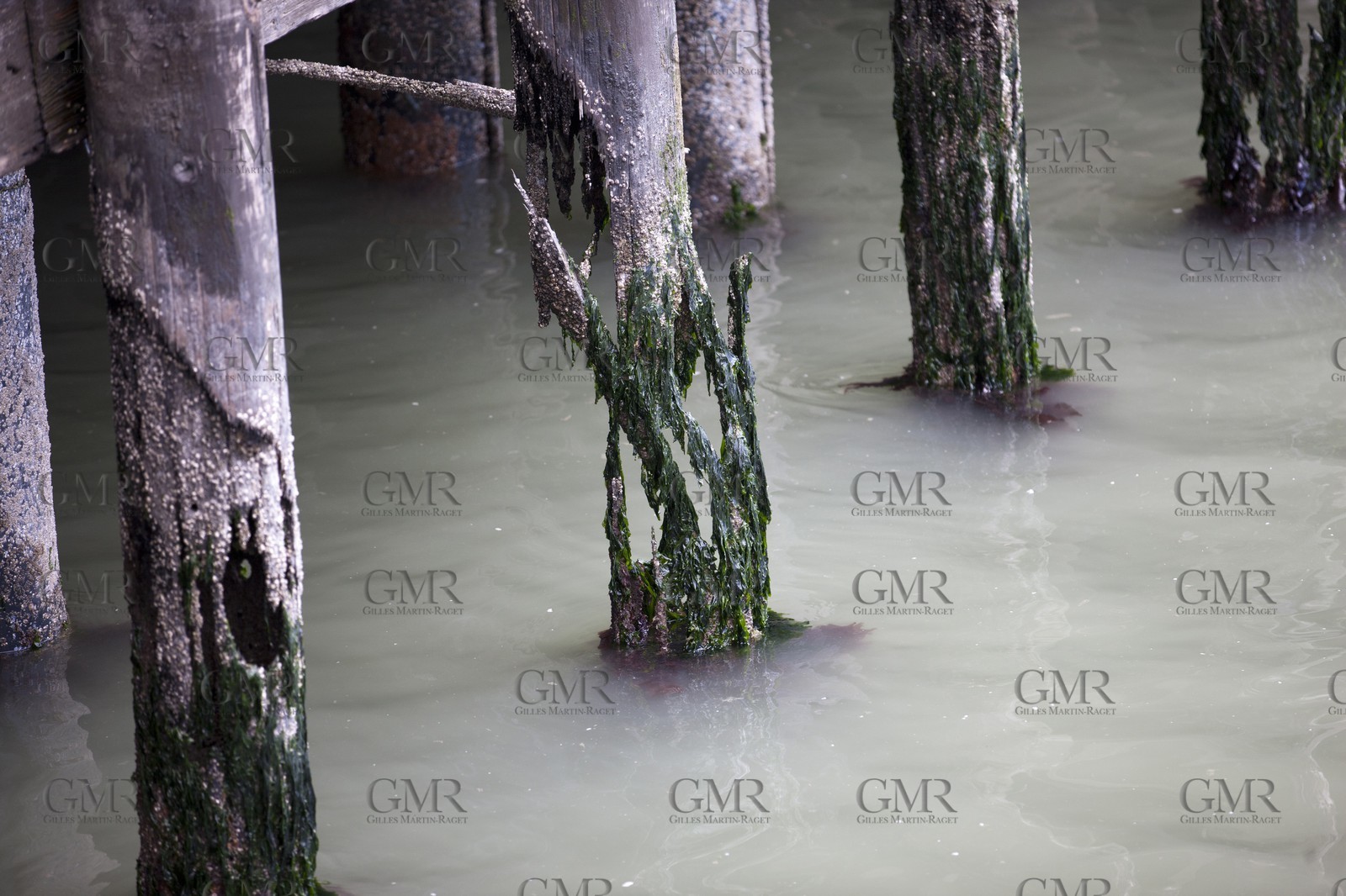 07 06 2011 - San Francisco (USA,CA) - 34th America's Cup - The Piers in their state of origin - Pier 27-29