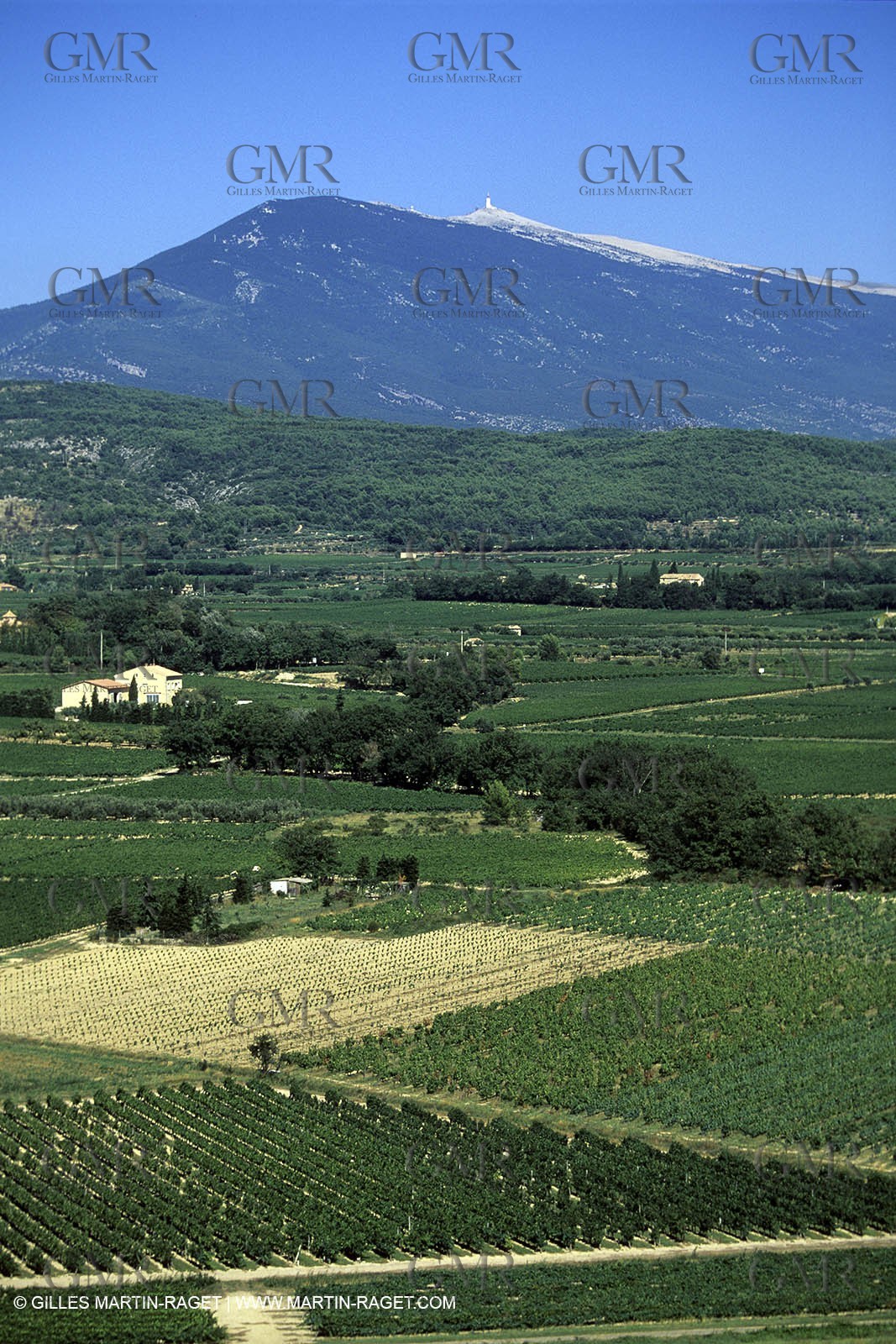 Provence - Mont Ventoux