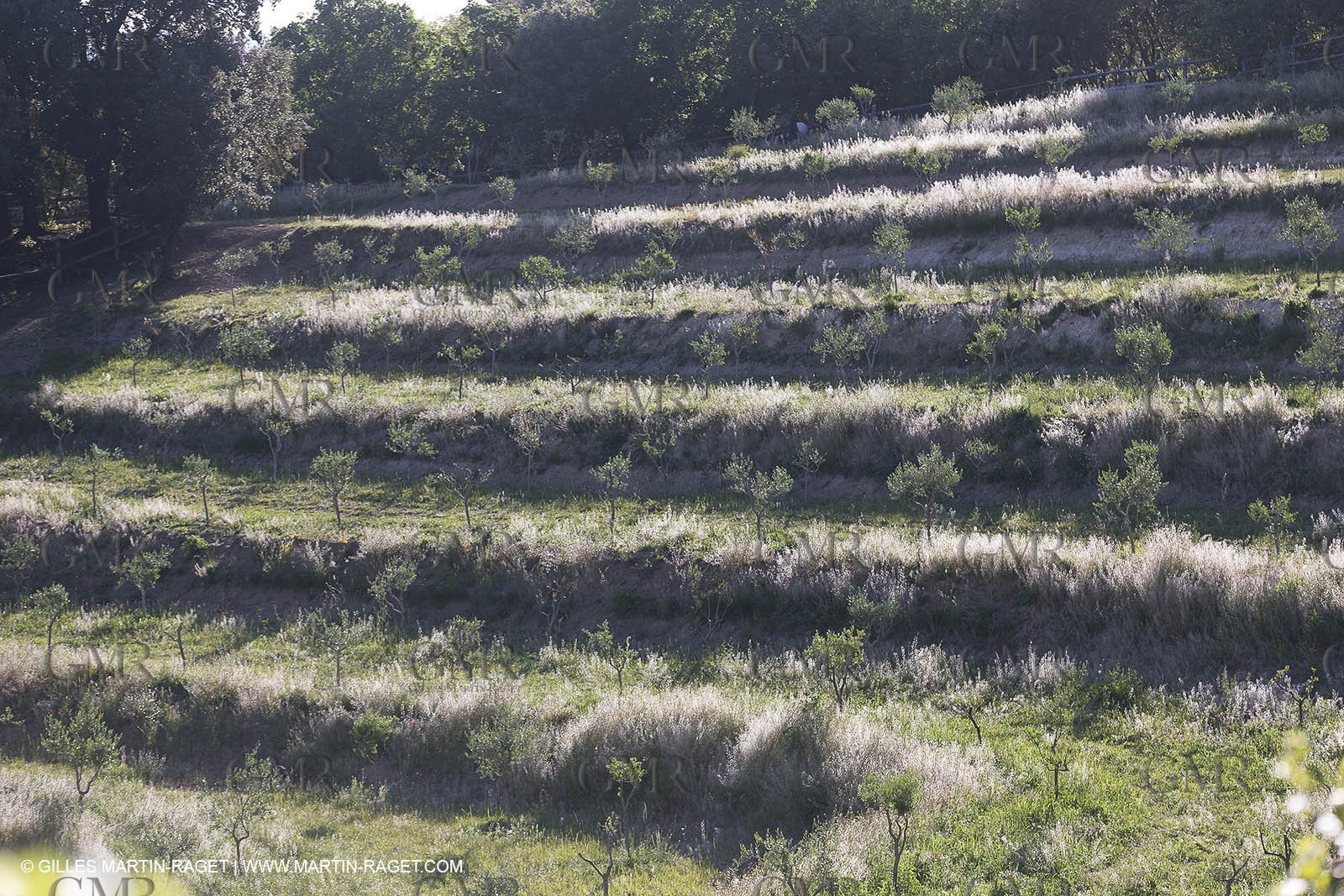 Domaine de la Baume - Tourtour (FRA,83) - 15 05 2014