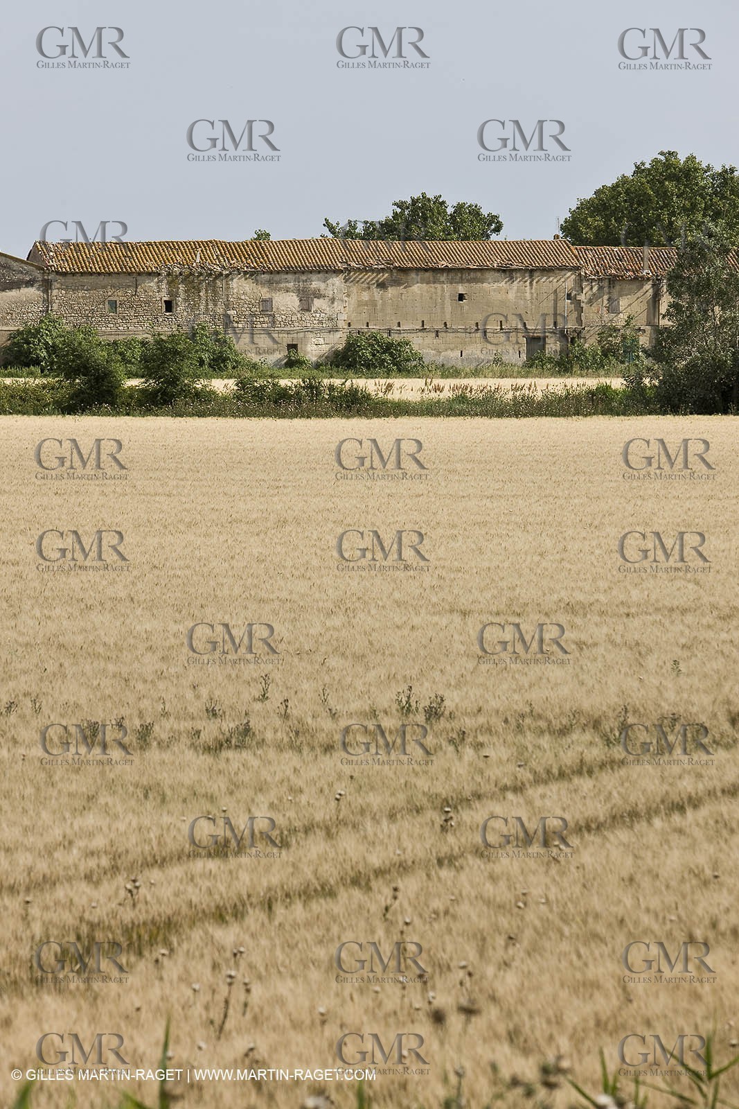 10 06 2008 - Arles and surroundings (FRA, 13) - Vincent Van Gogh south