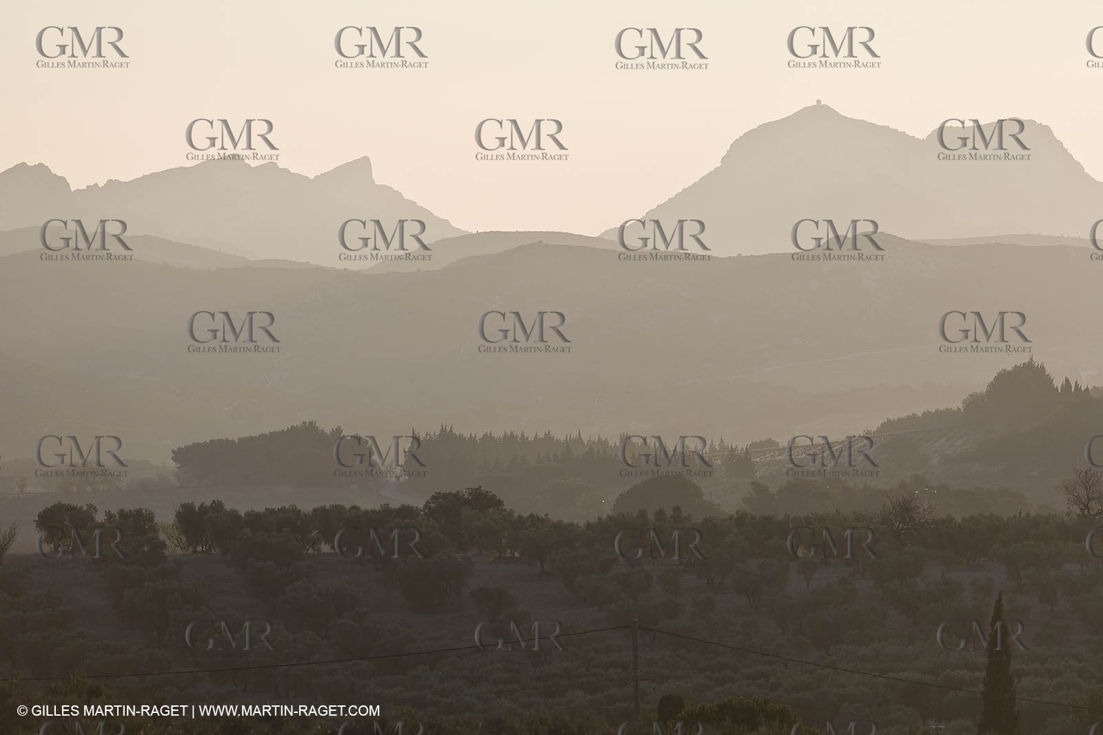 22 02 2008 - Mouriès (FRA, 13) - Alpilles hills landscapes