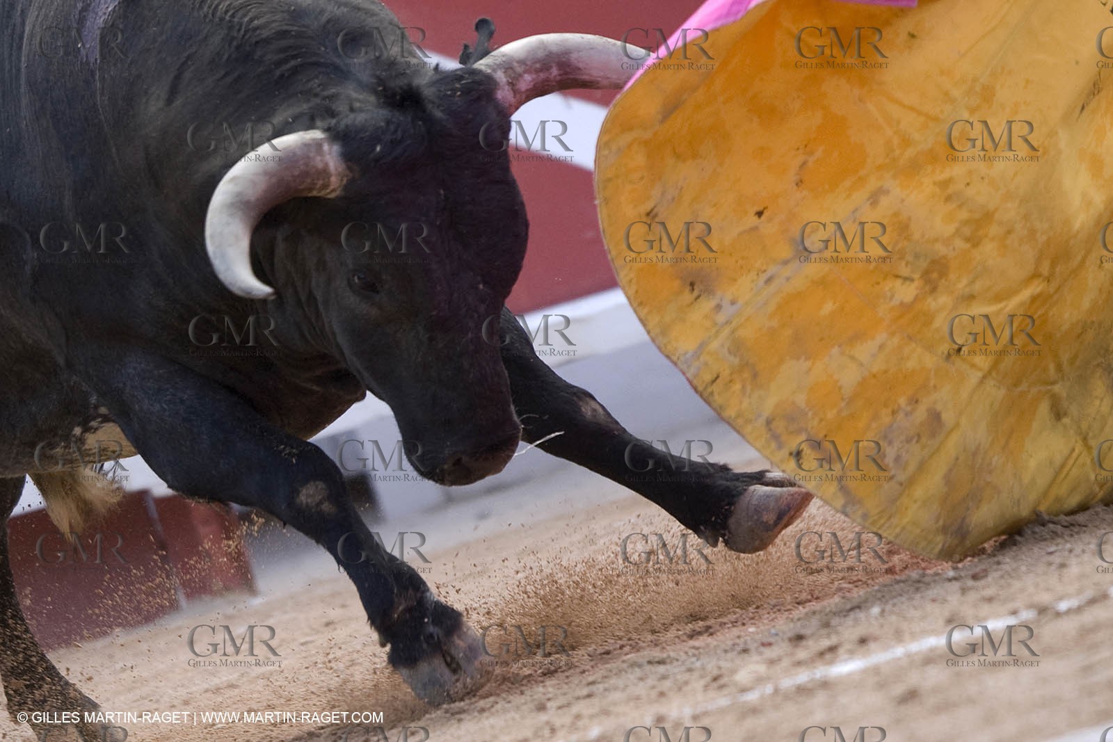 25 03 2008 - Arles (FRA, 13) - Feria 2008 - Bullfight with Miura toros