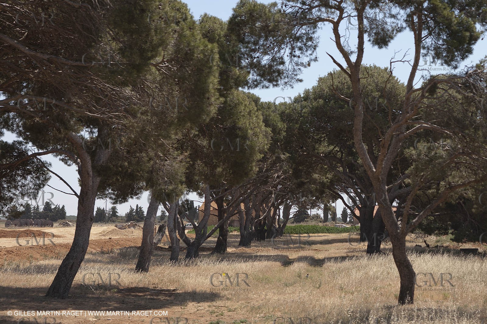 Gipsies gathering - Saintes Maries de la mer
