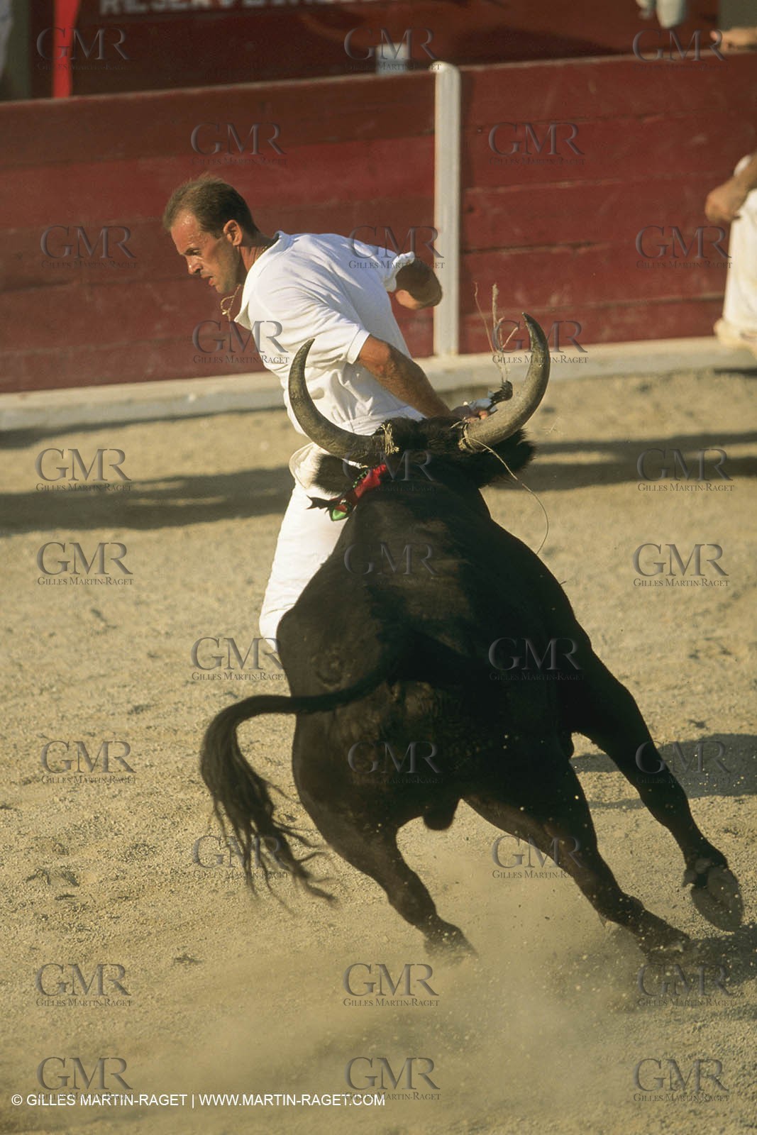 France, Provence, Course libre