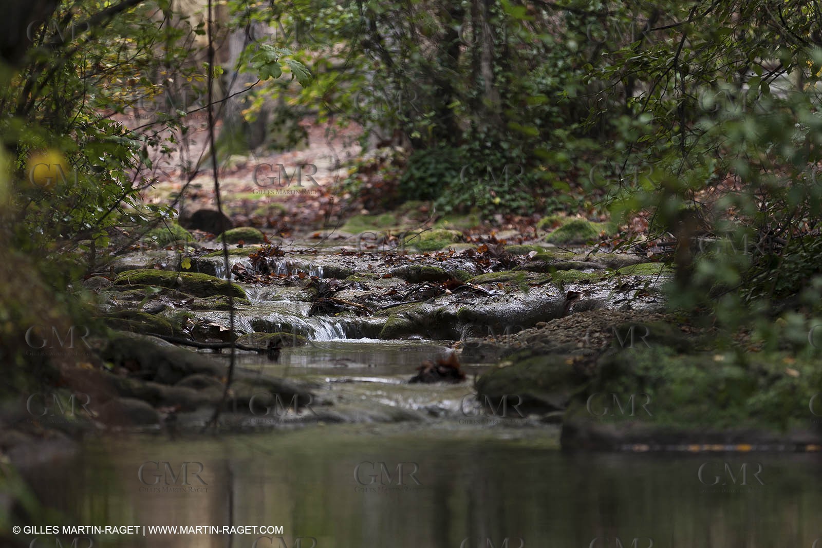 23 10 2012 - Gemenos (FRA) - Départemental Park of Saint Pons valley
