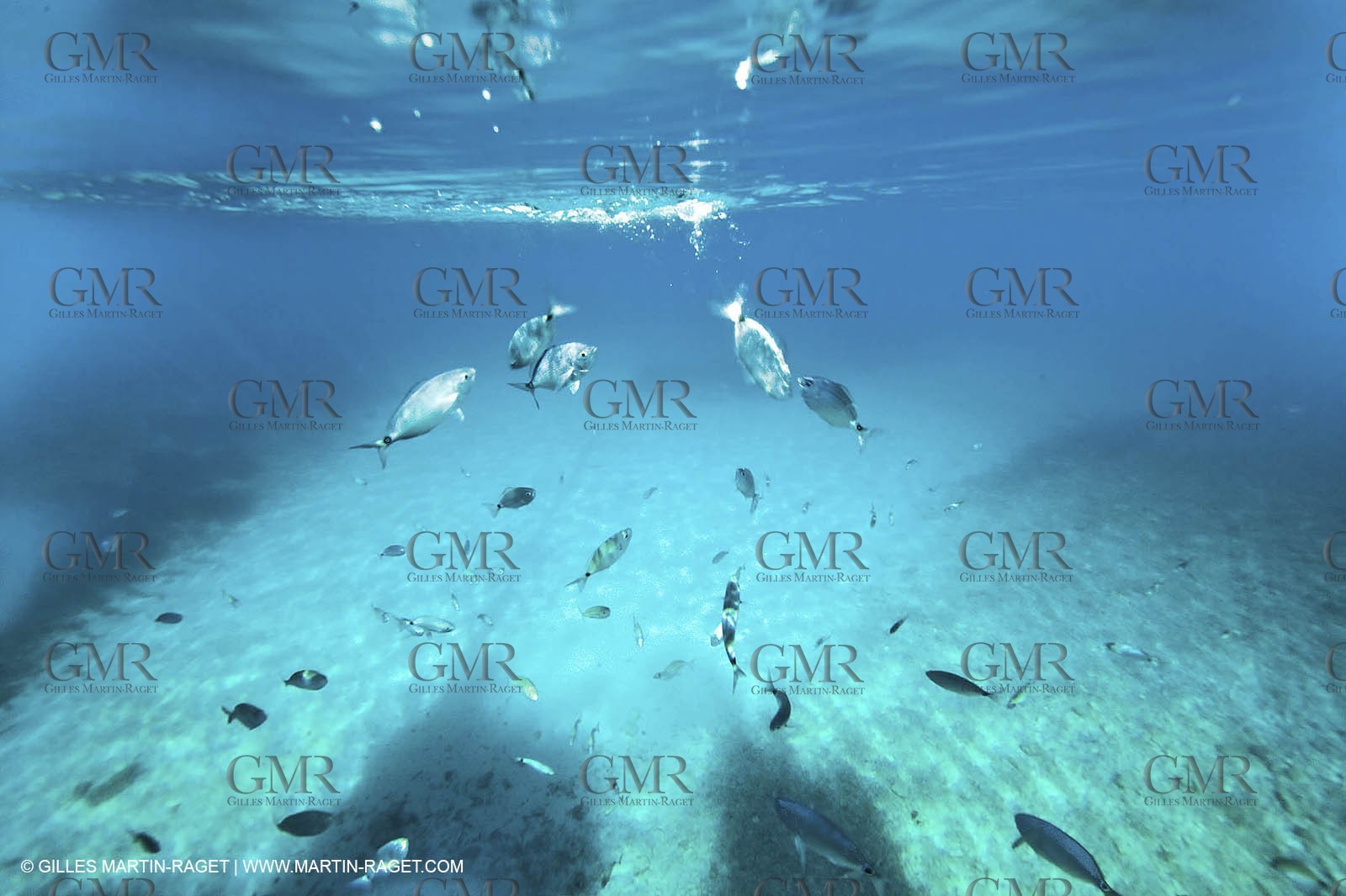07 05 2009 - Marseille (FRA, 13) - Les Calanques - En Vau