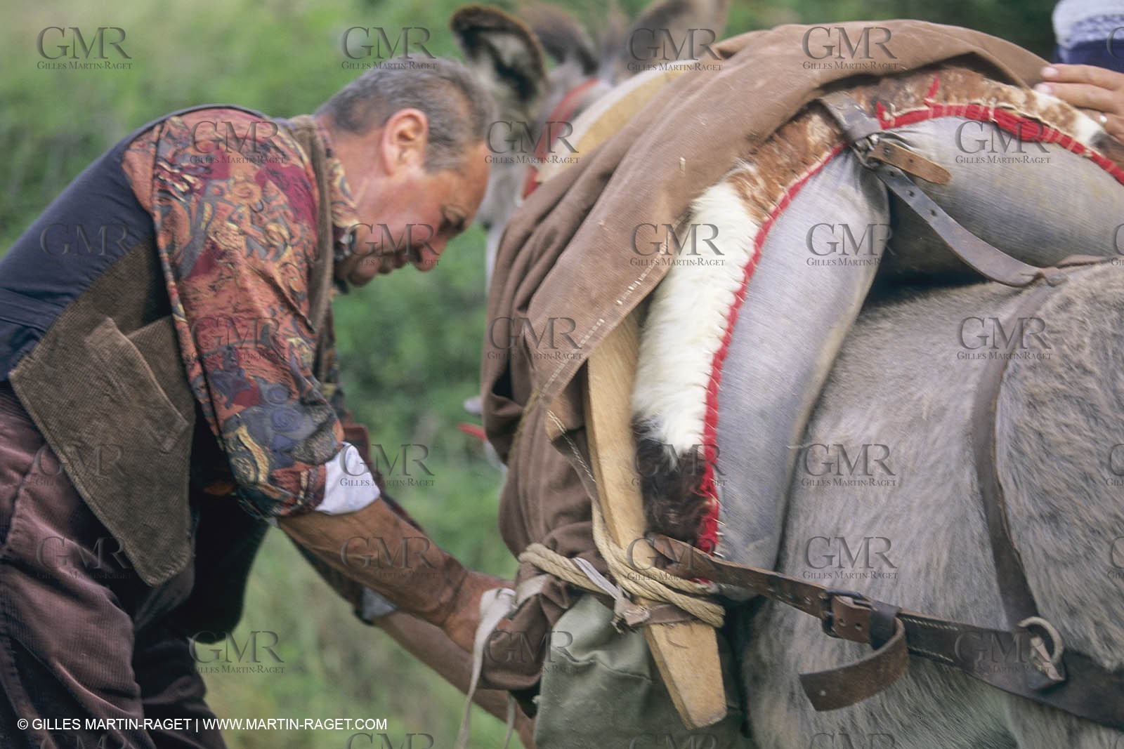 France, Provence, Moutons, bergers, élevage, transhumance