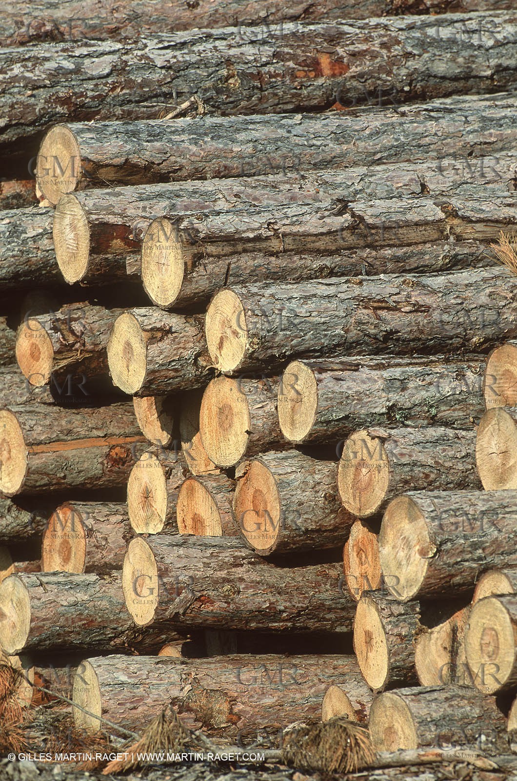 France - Southern Alps