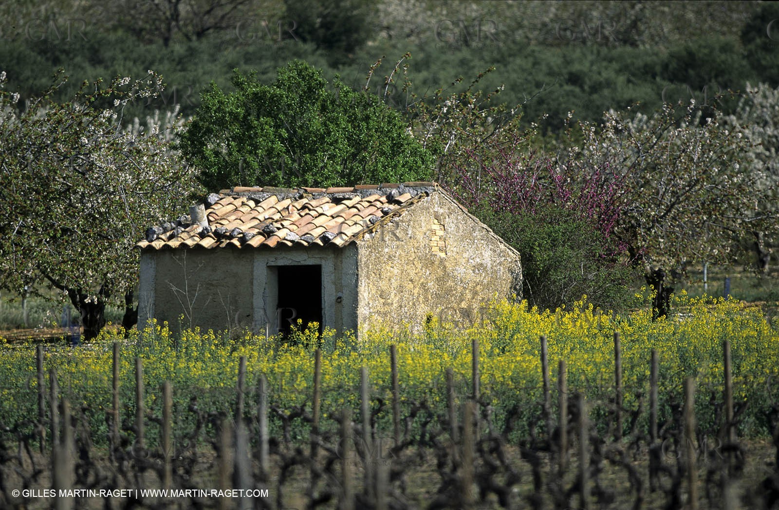 Luberon landscapes