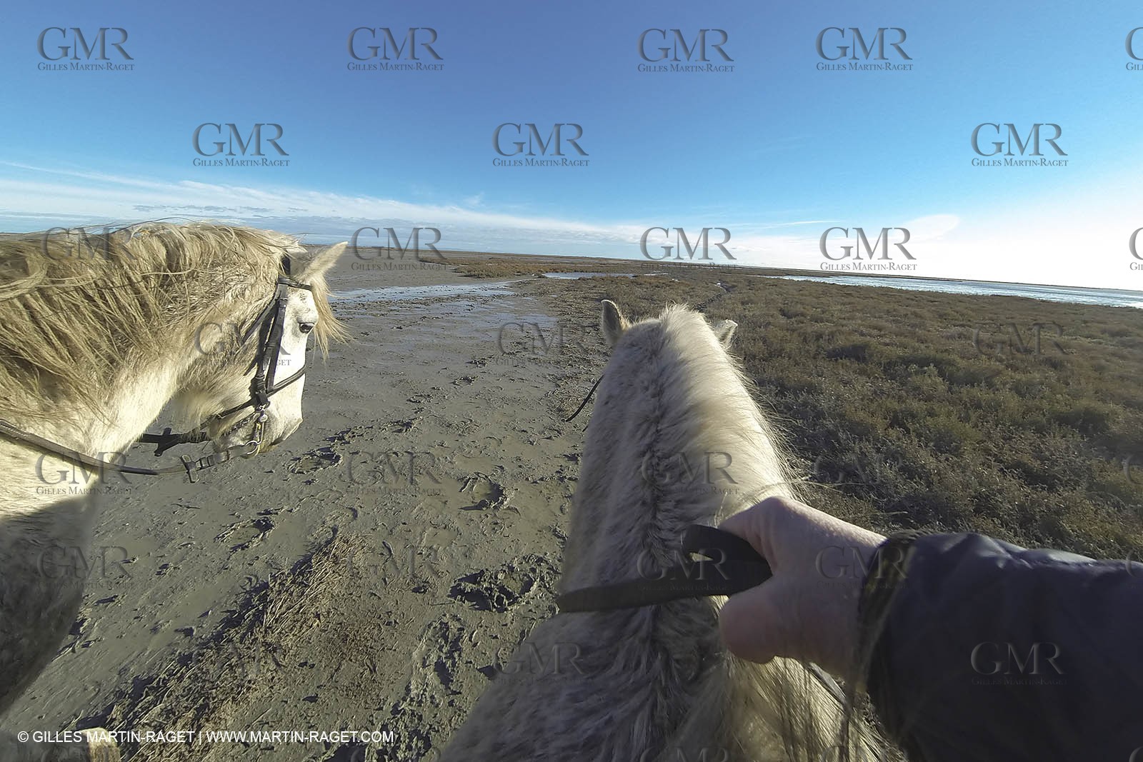 26 12 2013 - Les Saintes Maries de la Mer (FRA,13) - Horese riding at Cabanes de Cacharel