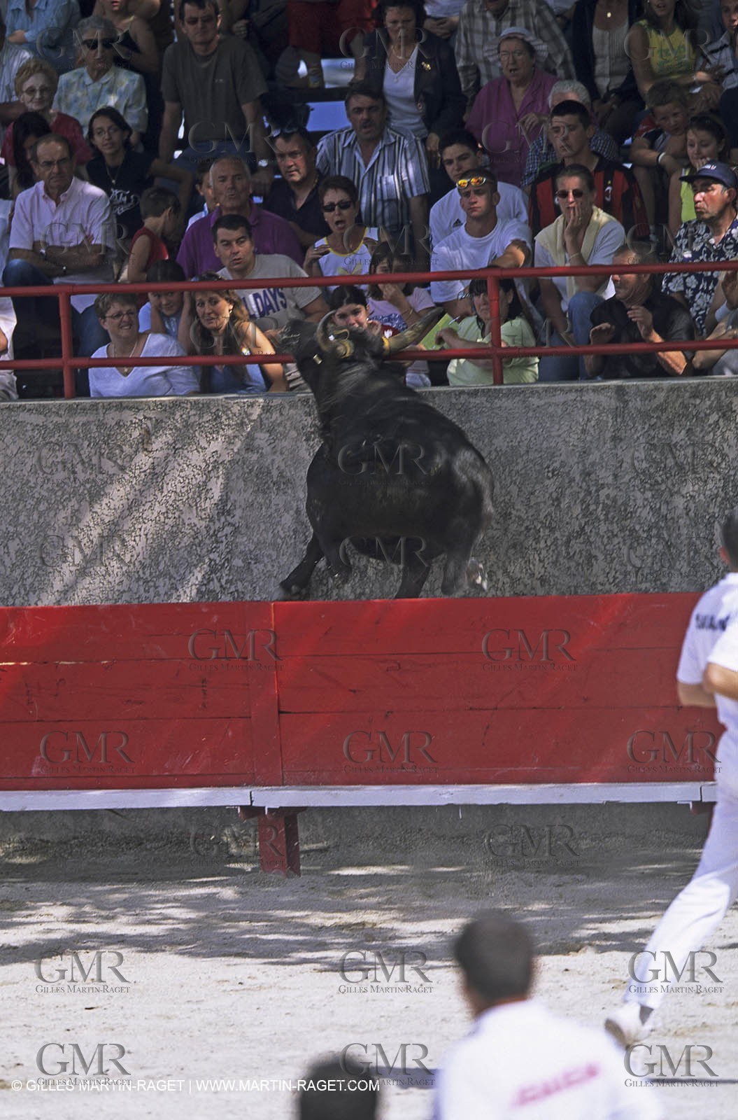 bull games in Clarensac (Gard)